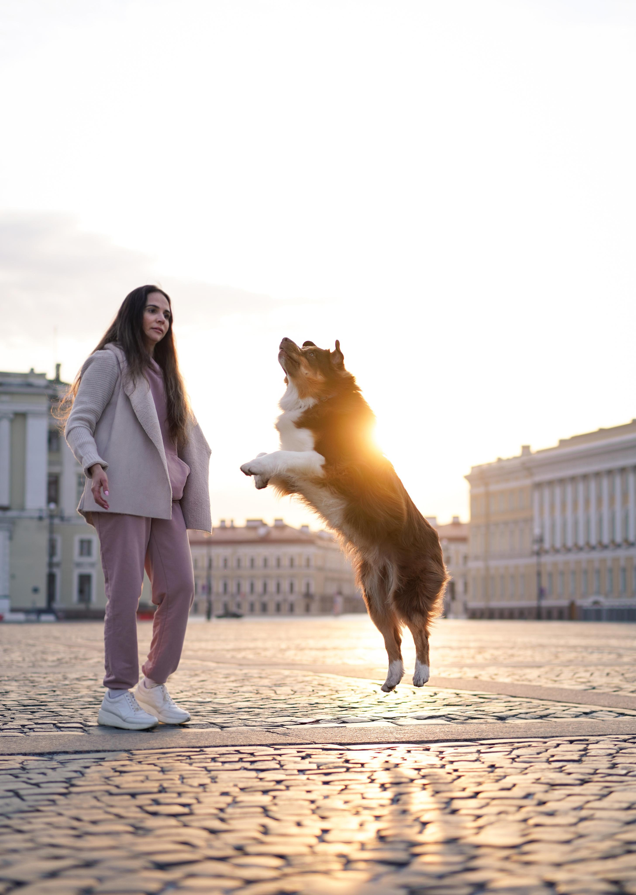 Кристина, Катя и аусси. Фотограф-анималист в Санкт-Петербурге Яна Мартынова