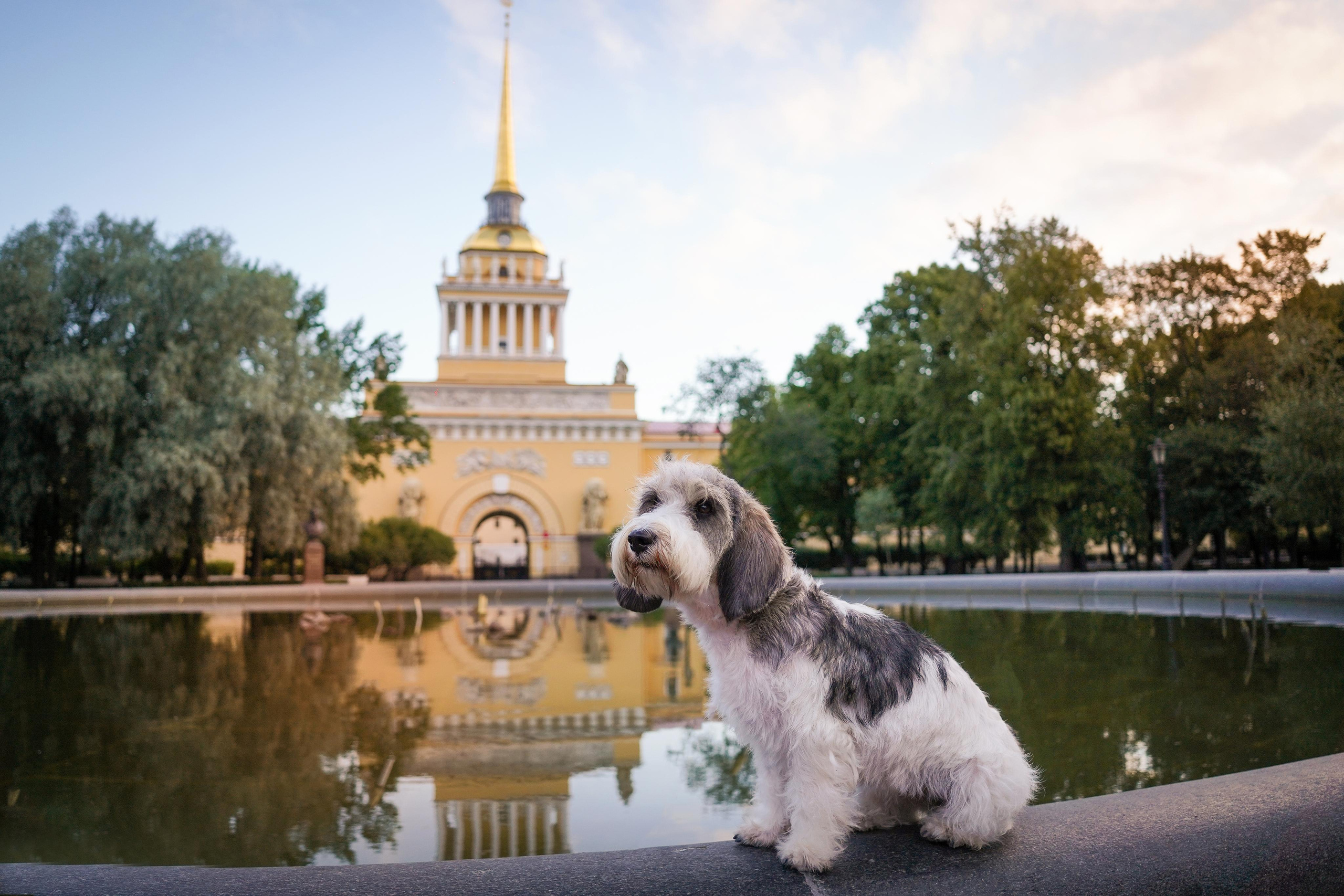 Мона центр. Фотограф-анималист в Санкт-Петербурге Яна Мартынова