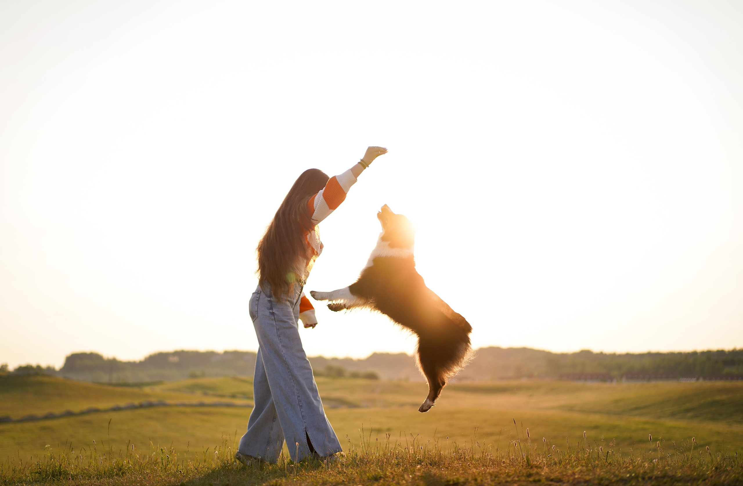 Кристина и Айла. Фотограф-анималист в Санкт-Петербурге Яна Мартынова
