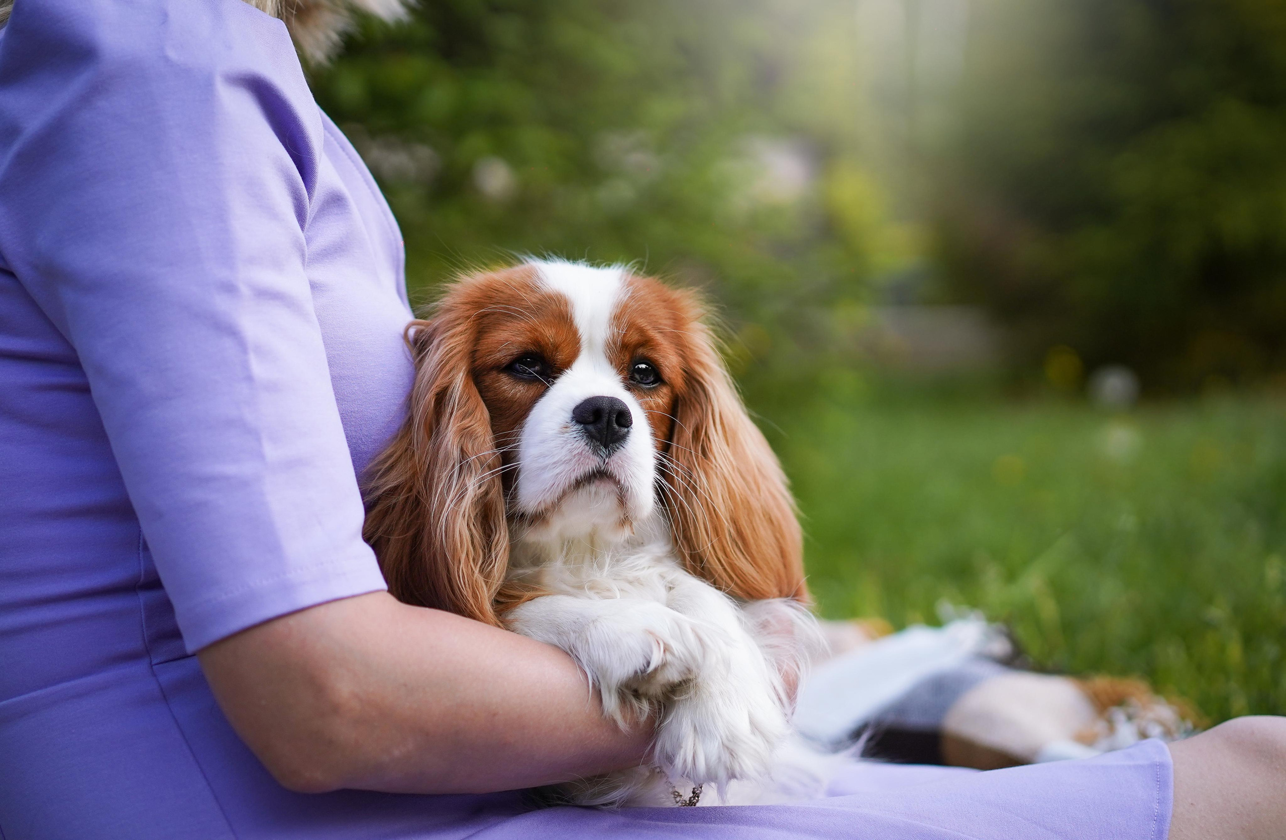 Злата, Луна, Сима и ребята. Фотограф-анималист в Санкт-Петербурге Яна Мартынова