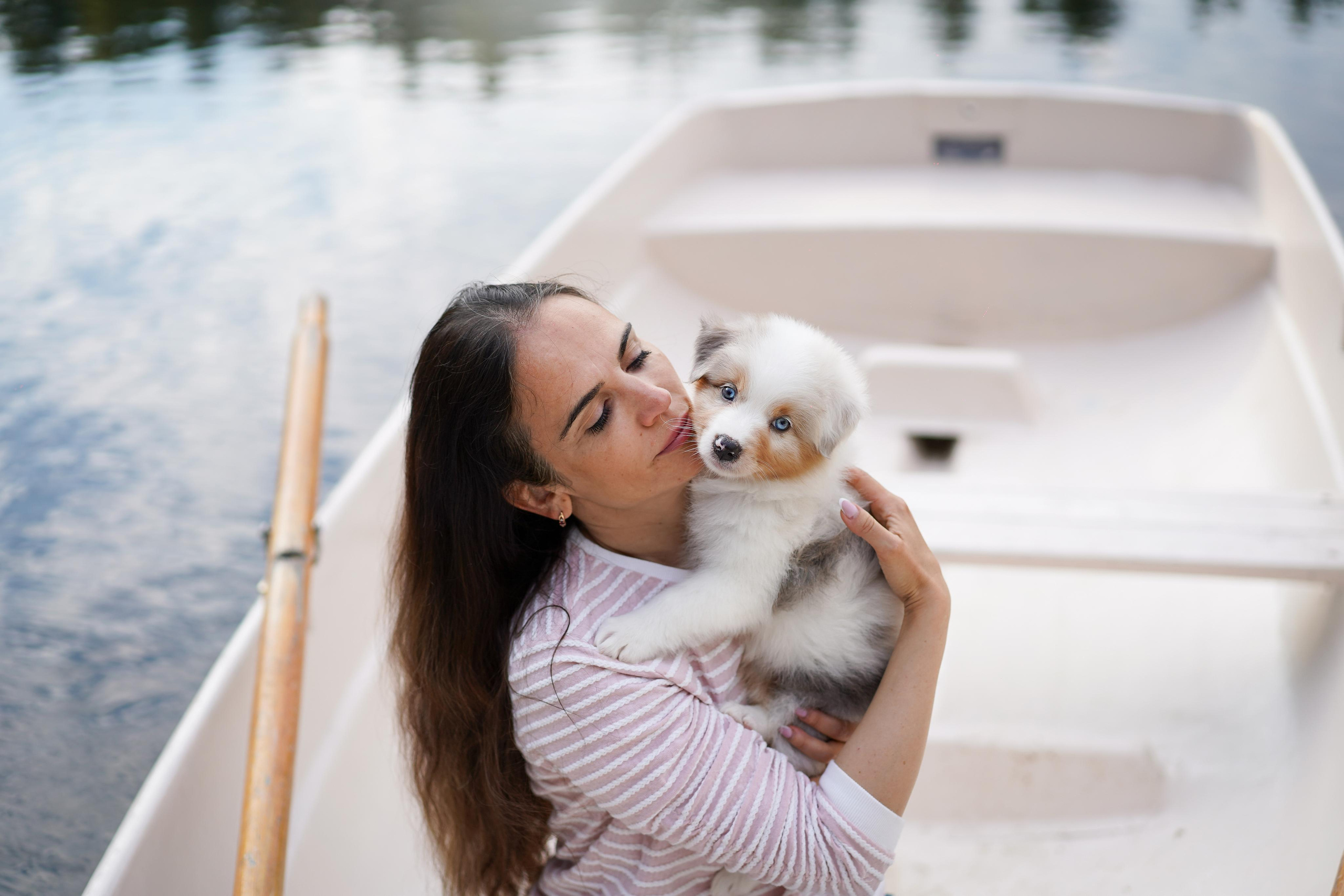 Щенки австралийской овчарки. Фотограф-анималист в Санкт-Петербурге Яна Мартынова