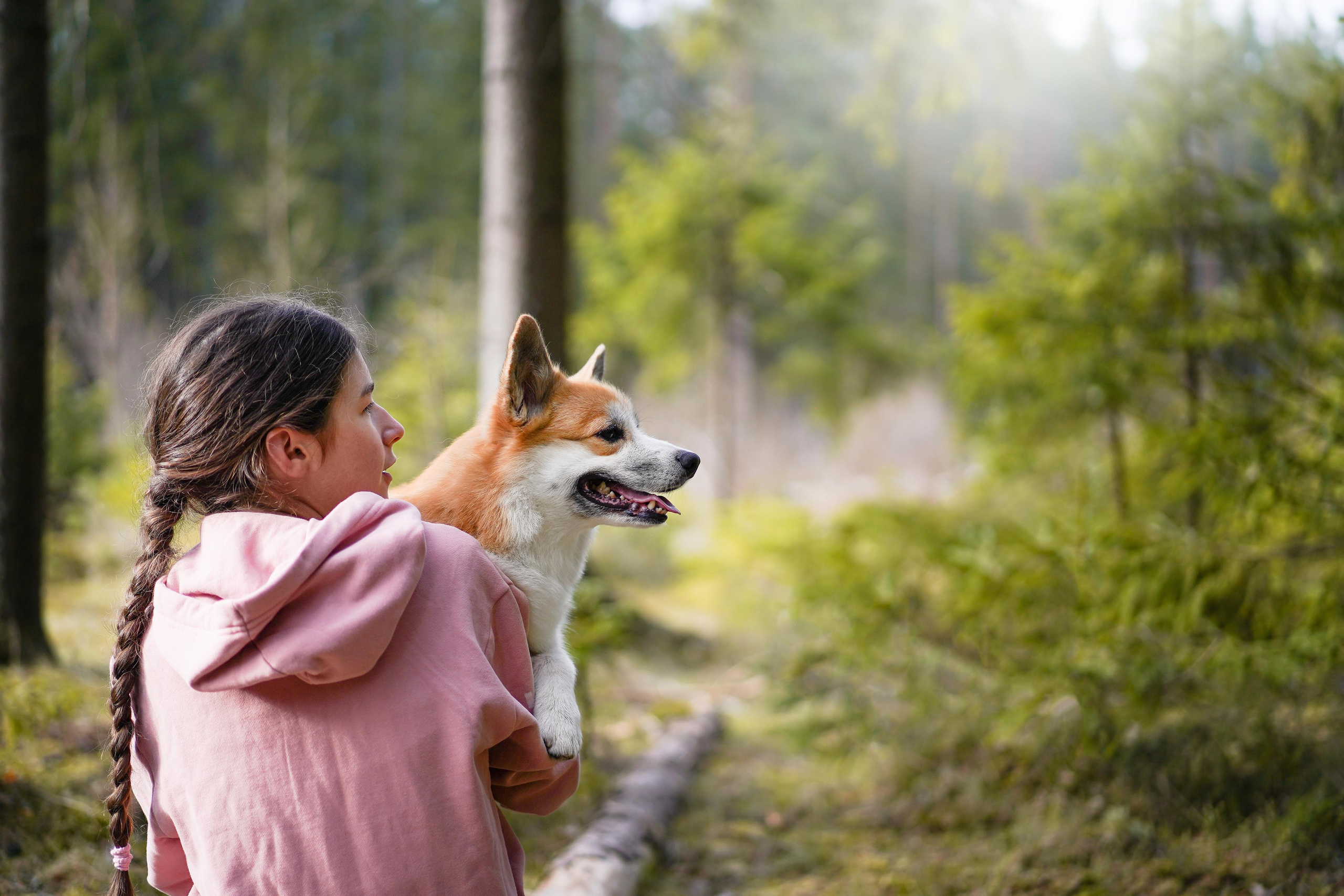Катя и Рокки. Фотограф-анималист в Санкт-Петербурге Яна Мартынова
