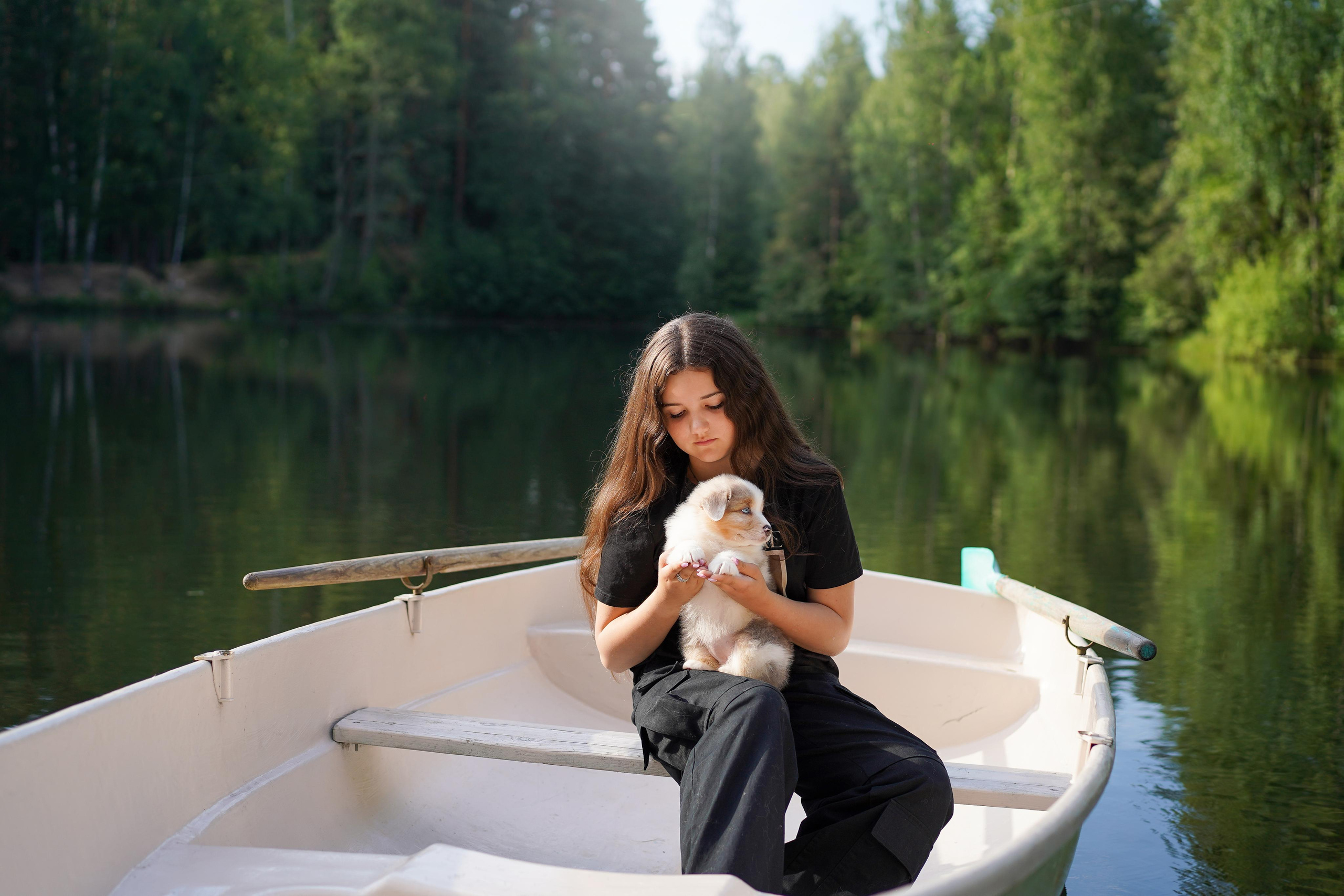 Щенки австралийской овчарки. Фотограф-анималист в Санкт-Петербурге Яна Мартынова