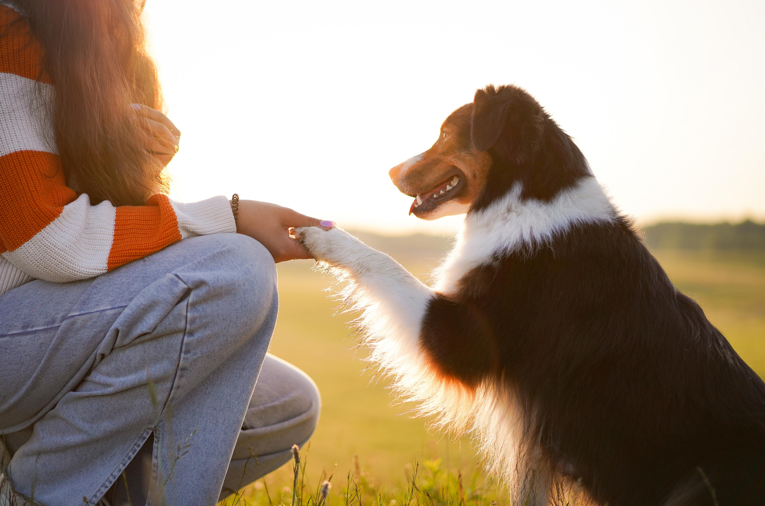Кристина и Айла. Фотограф-анималист в Санкт-Петербурге Яна Мартынова