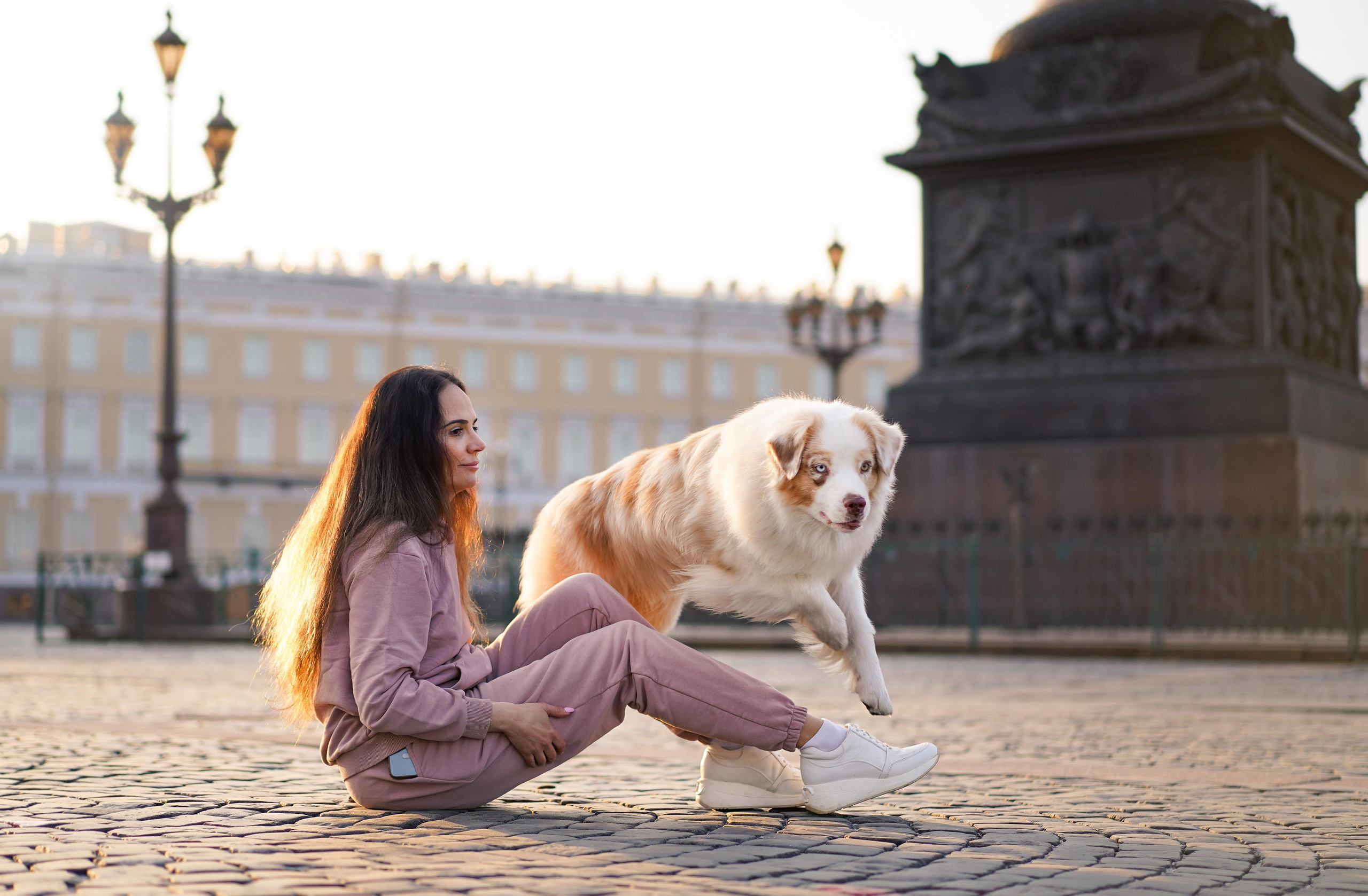 Кристина, Катя и аусси. Фотограф-анималист в Санкт-Петербурге Яна Мартынова