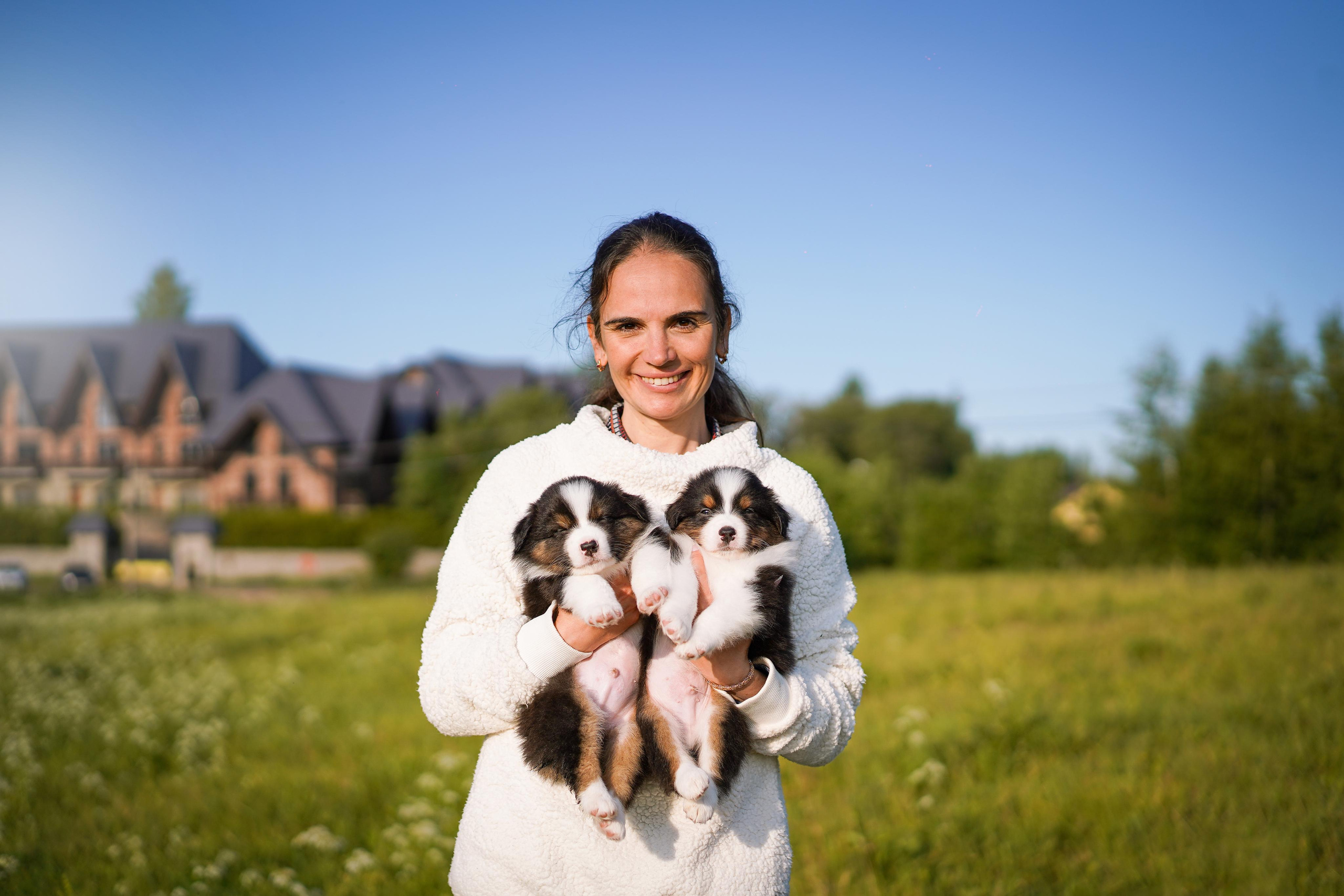 Щенки аусси. Фотограф-анималист в Санкт-Петербурге Яна Мартынова