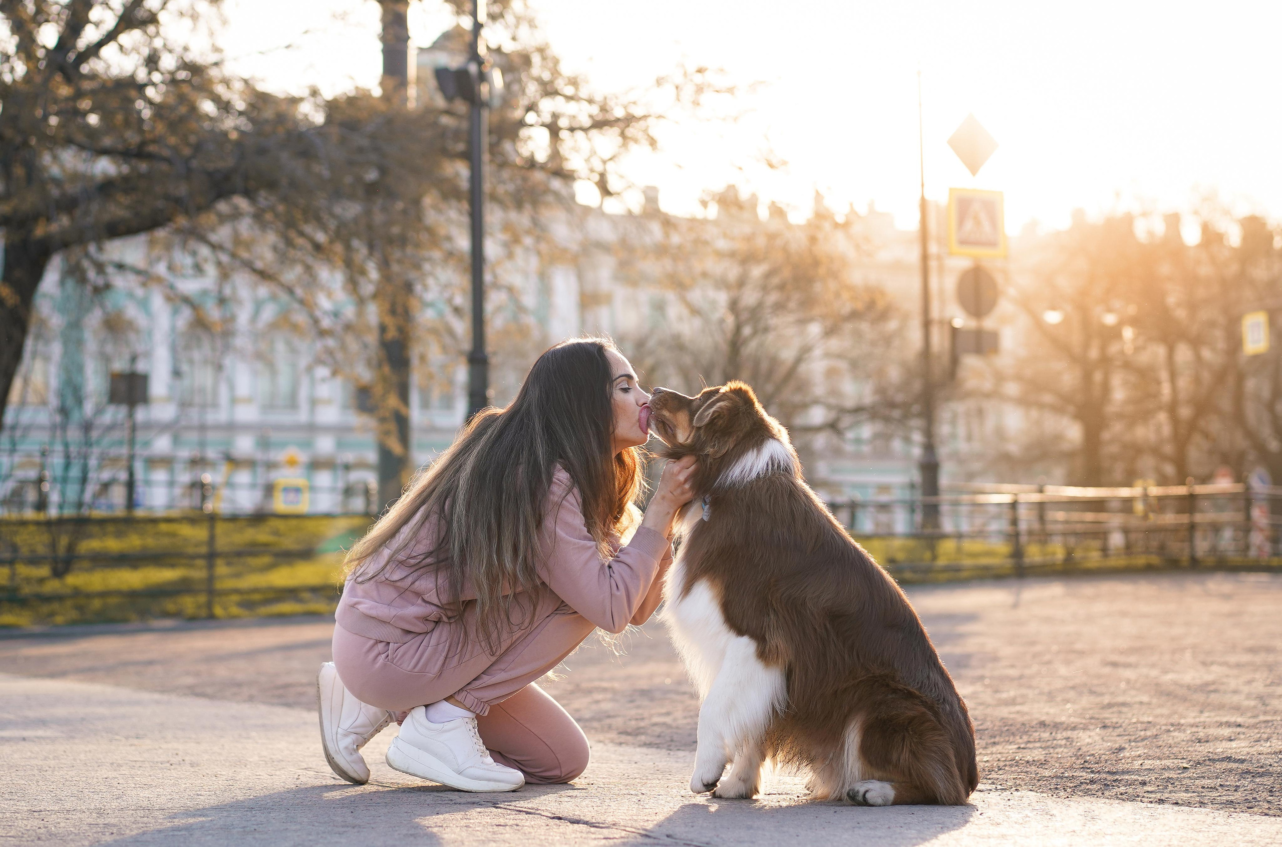 Кристина, Катя и аусси. Фотограф-анималист в Санкт-Петербурге Яна Мартынова