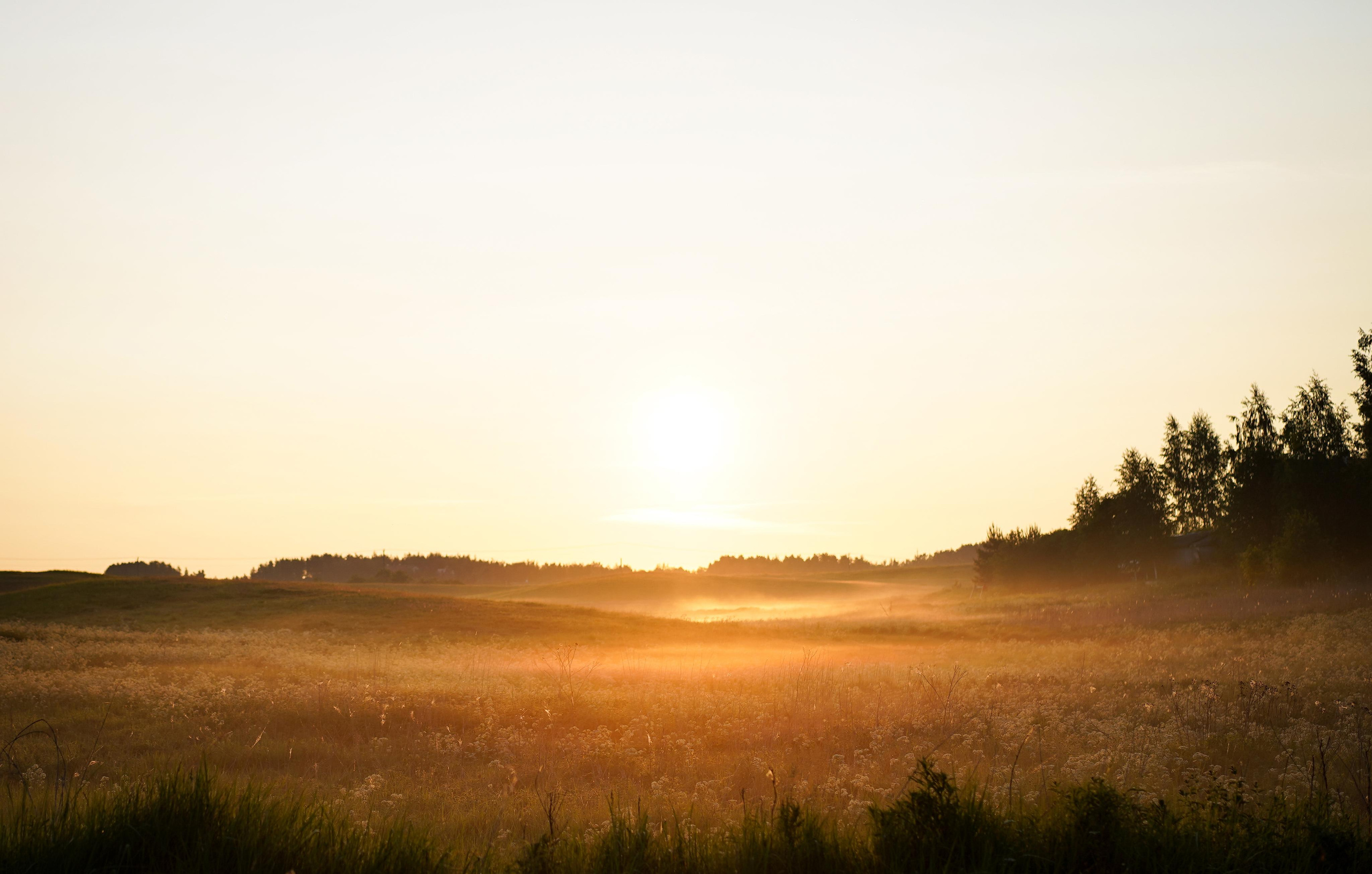 Кристина и Айла. Фотограф-анималист в Санкт-Петербурге Яна Мартынова