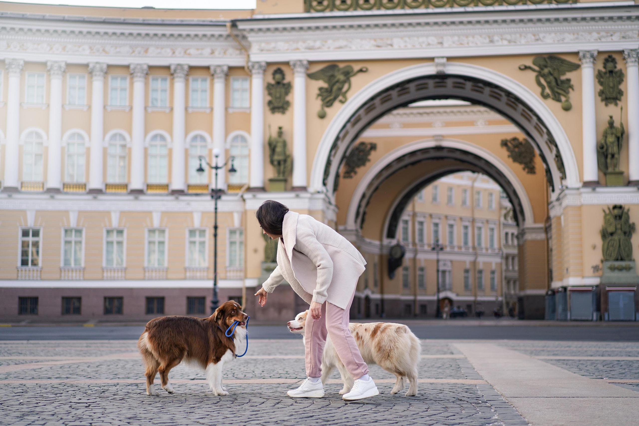 Кристина, Катя и аусси. Фотограф-анималист в Санкт-Петербурге Яна Мартынова