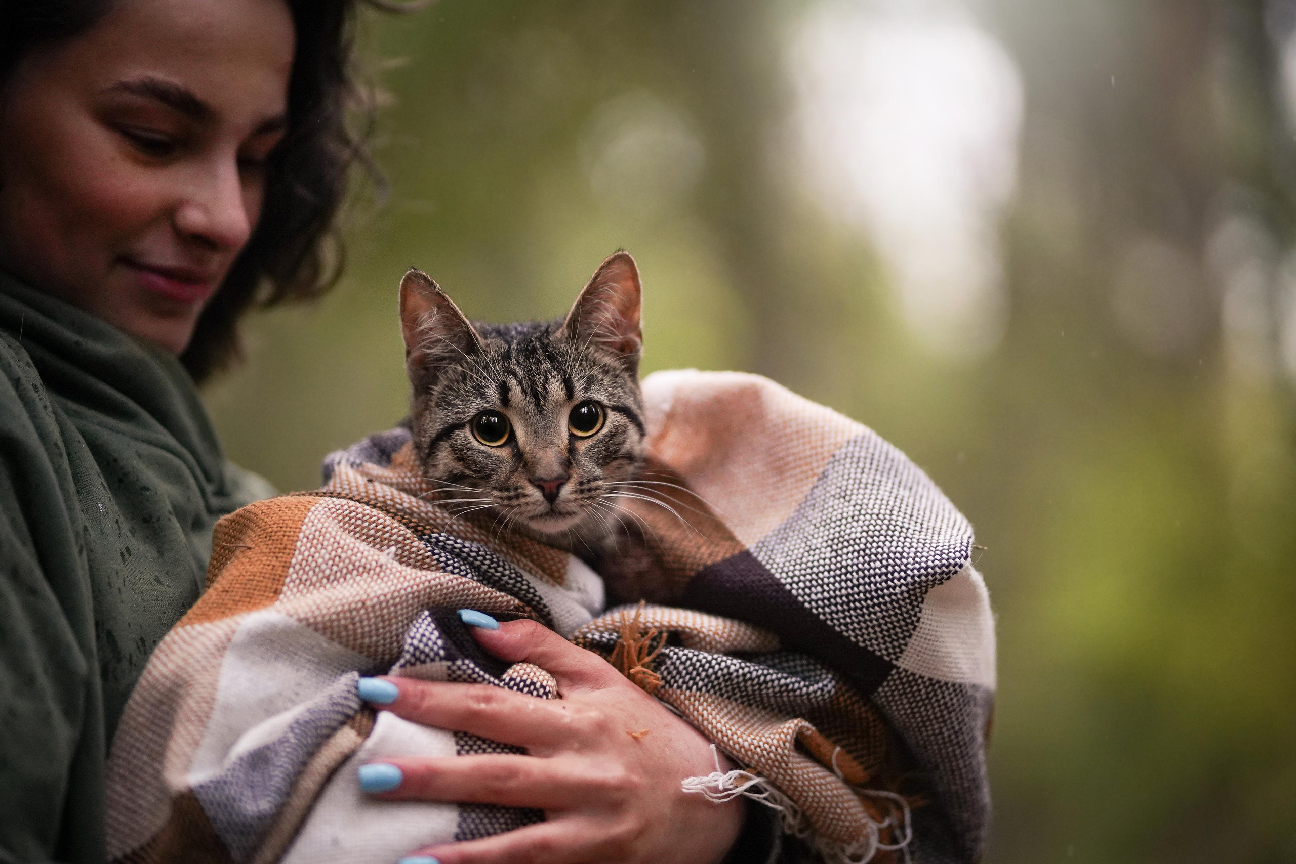 Настя Арчи и Айрис. Фотограф-анималист в Санкт-Петербурге Яна Мартынова