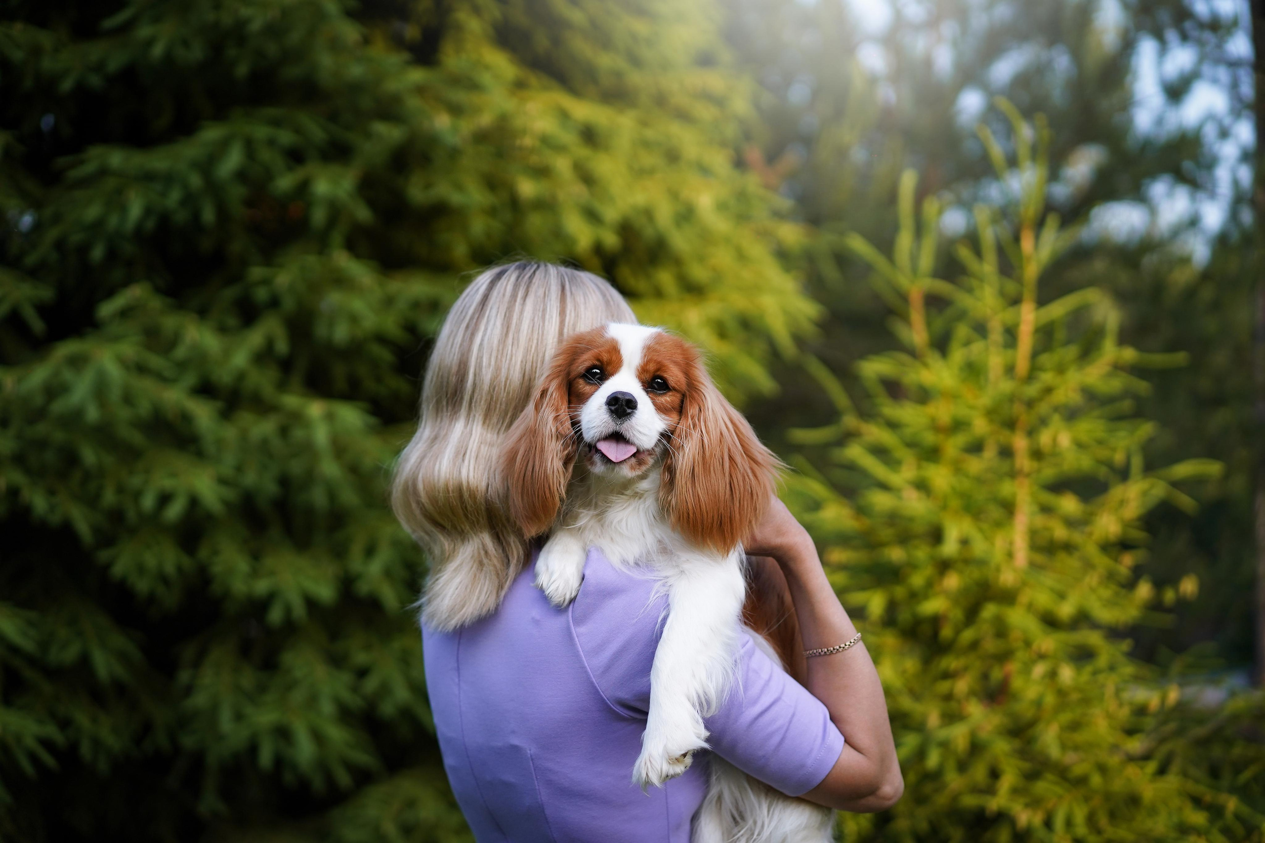 Злата, Луна, Сима и ребята. Фотограф-анималист в Санкт-Петербурге Яна Мартынова
