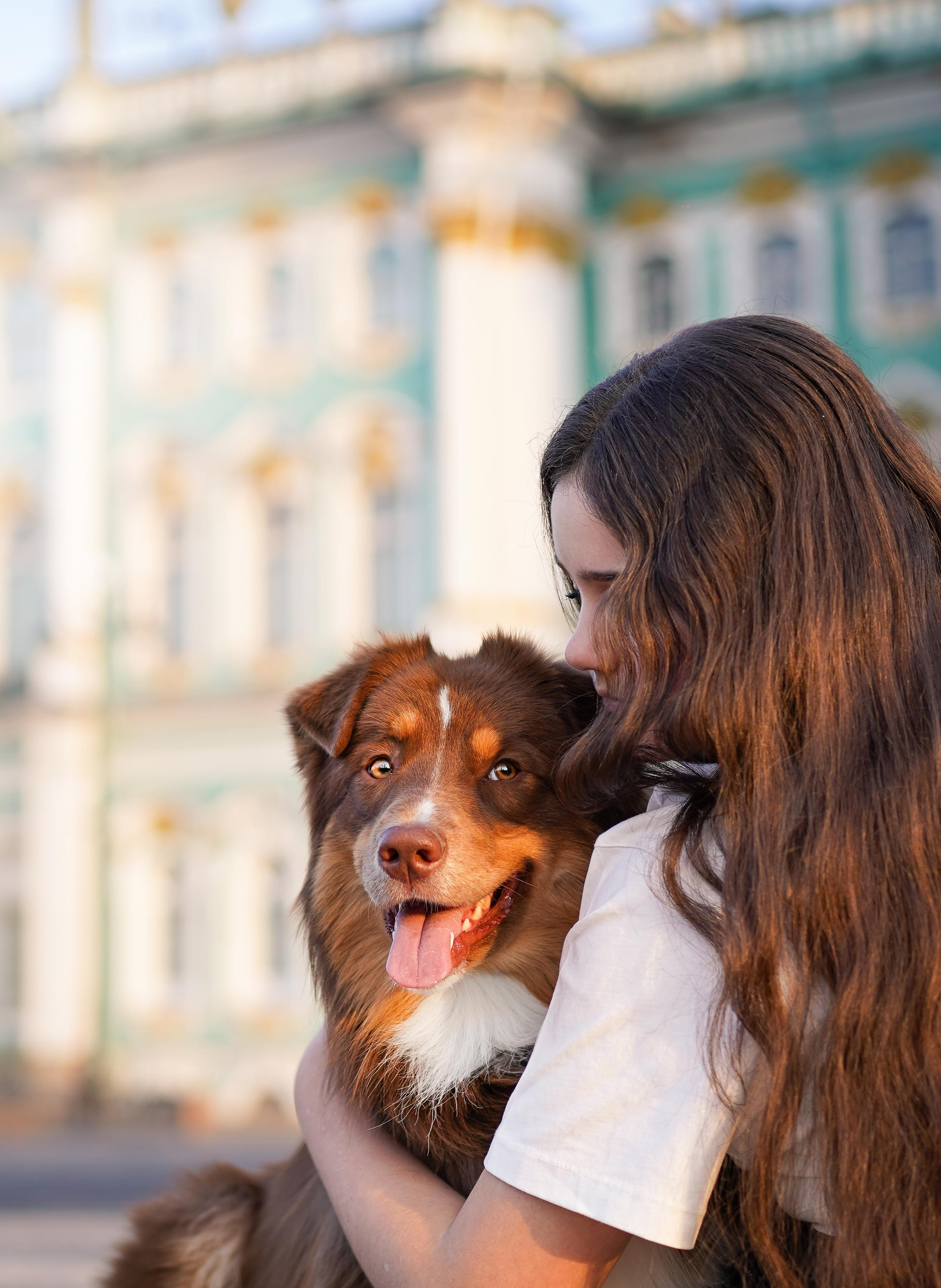 Кристина, Катя и аусси. Фотограф-анималист в Санкт-Петербурге Яна Мартынова