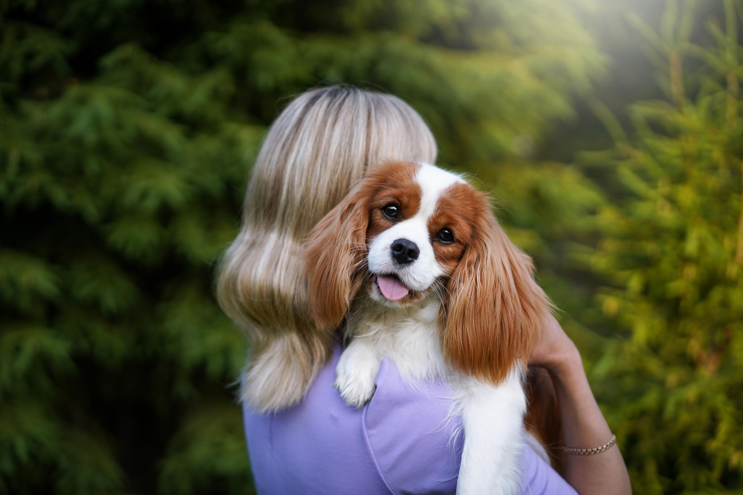 Злата, Луна, Сима и ребята. Фотограф-анималист в Санкт-Петербурге Яна Мартынова