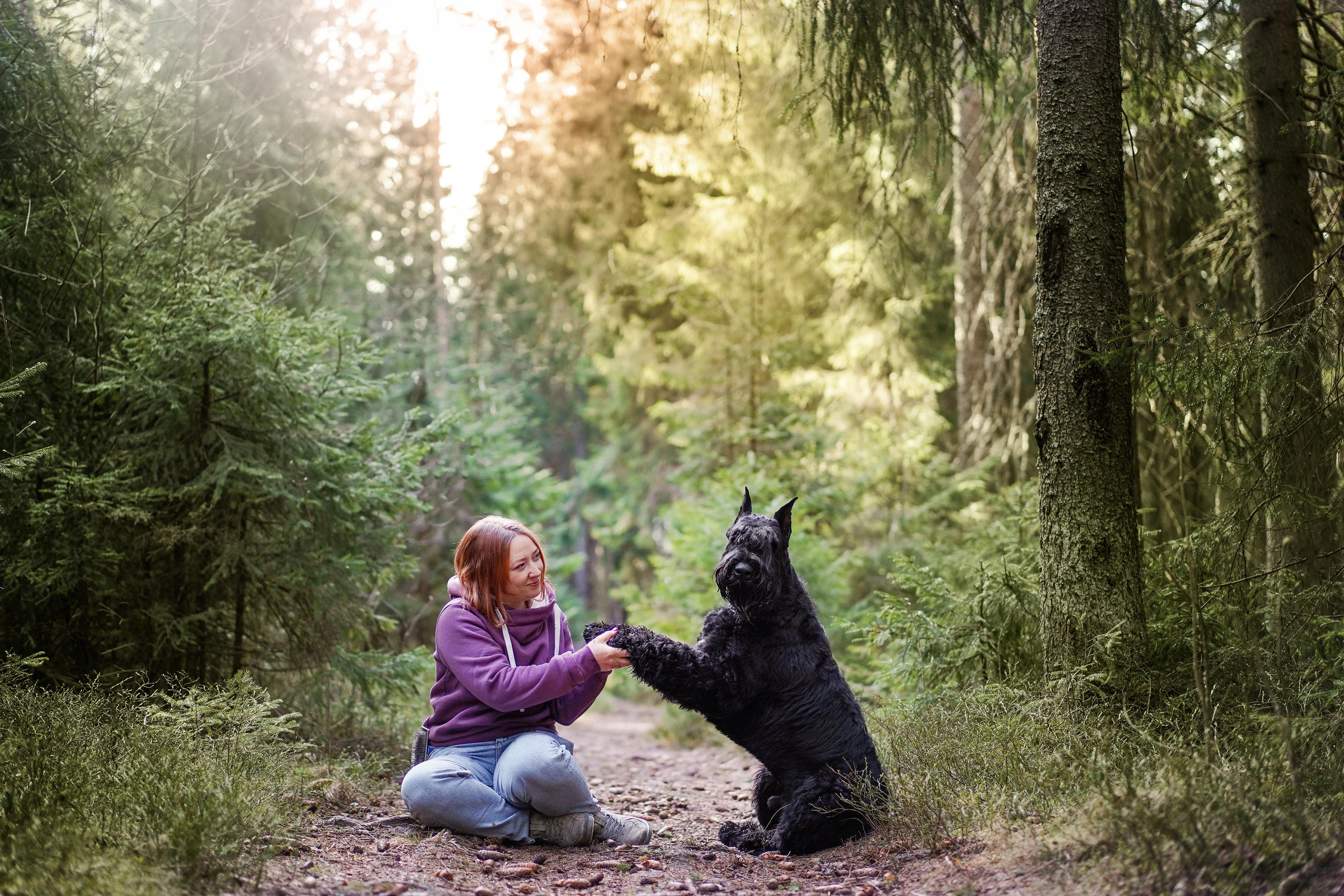 Оля и шнауцеры. Фотограф-анималист в Санкт-Петербурге Яна Мартынова