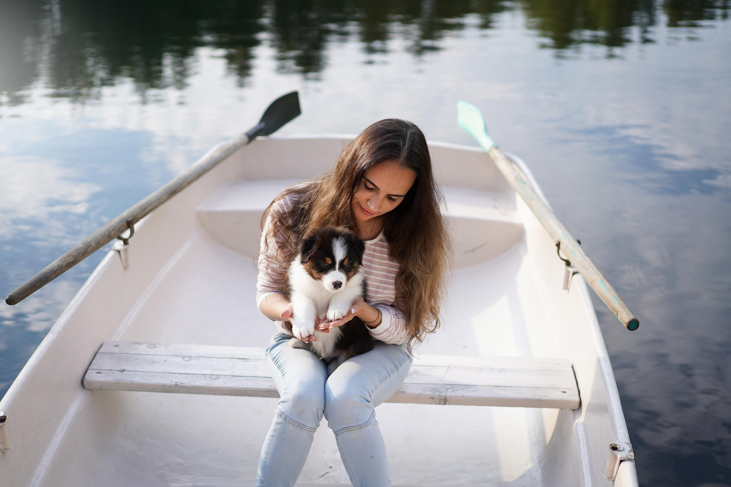 Щенки австралийской овчарки. Фотограф-анималист в Санкт-Петербурге Яна Мартынова