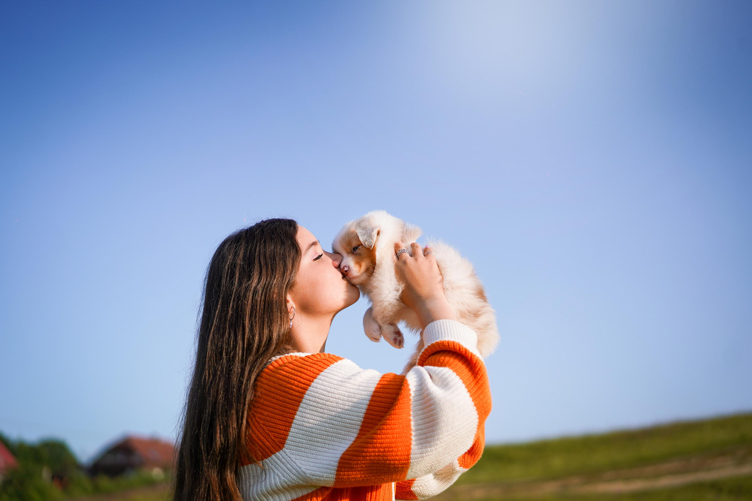 Щенки аусси. Фотограф-анималист в Санкт-Петербурге Яна Мартынова