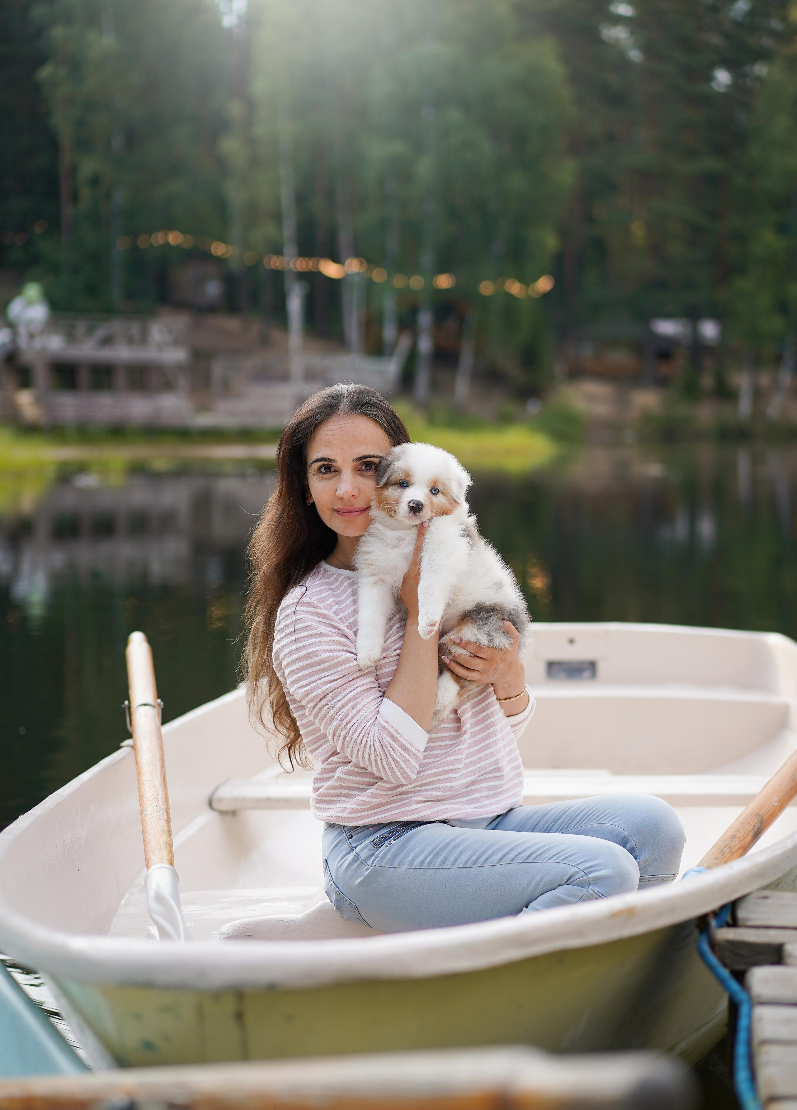 Щенки австралийской овчарки. Фотограф-анималист в Санкт-Петербурге Яна Мартынова