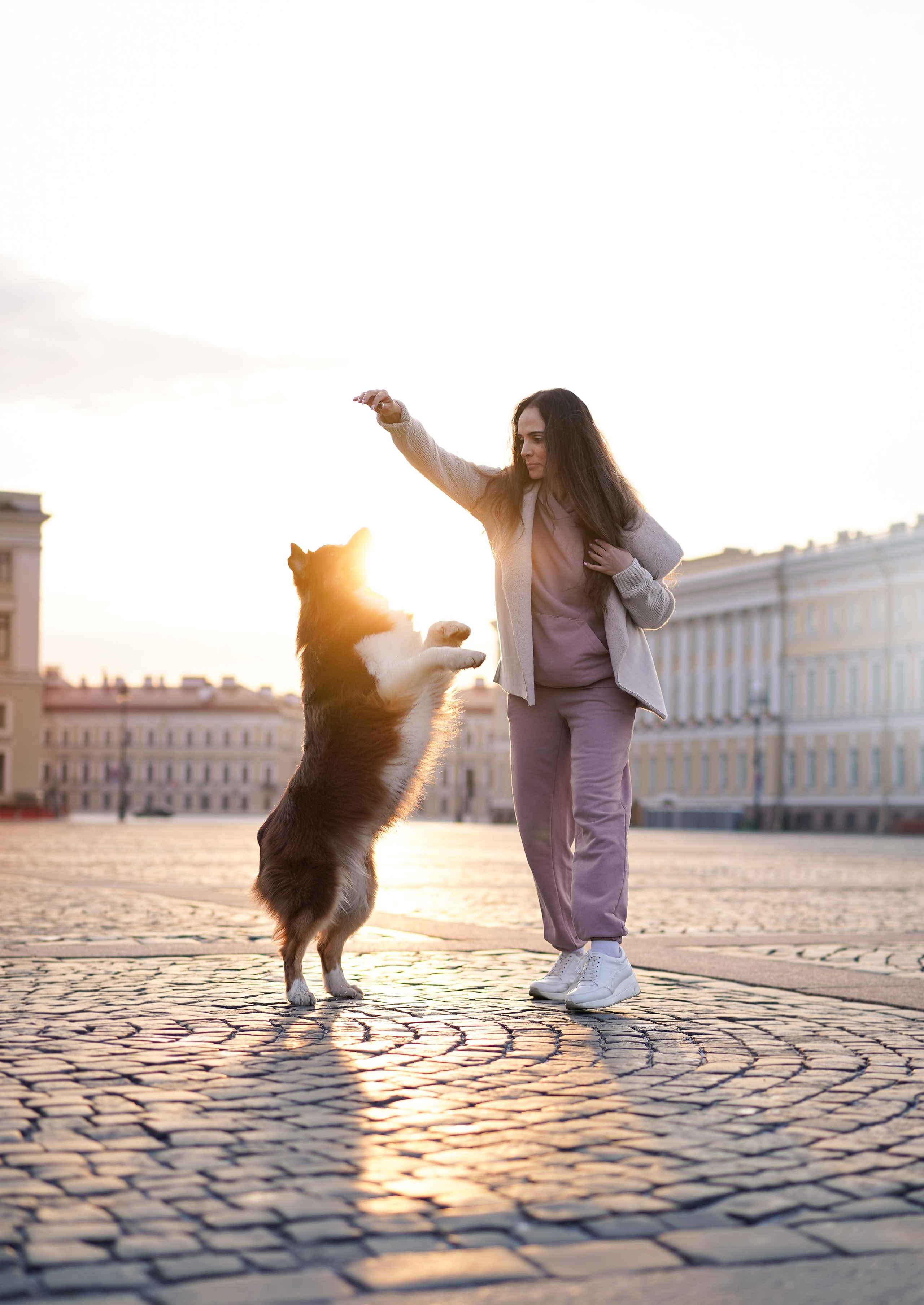 Кристина, Катя и аусси. Фотограф-анималист в Санкт-Петербурге Яна Мартынова