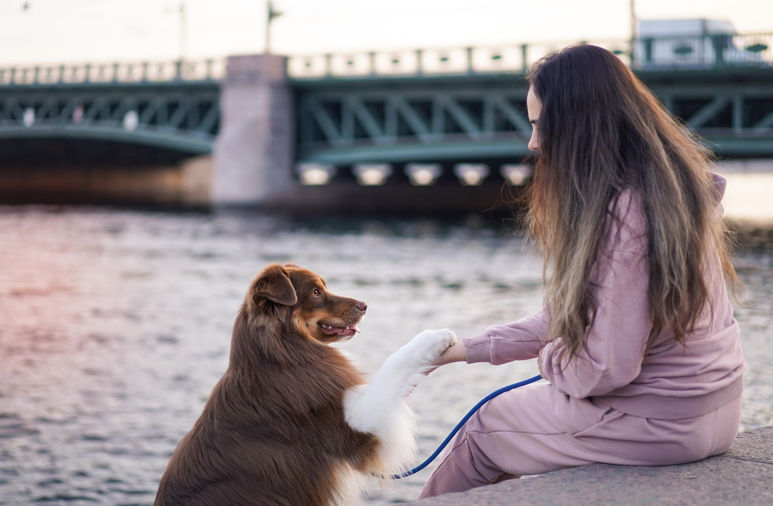 Кристина, Катя и аусси. Фотограф-анималист в Санкт-Петербурге Яна Мартынова