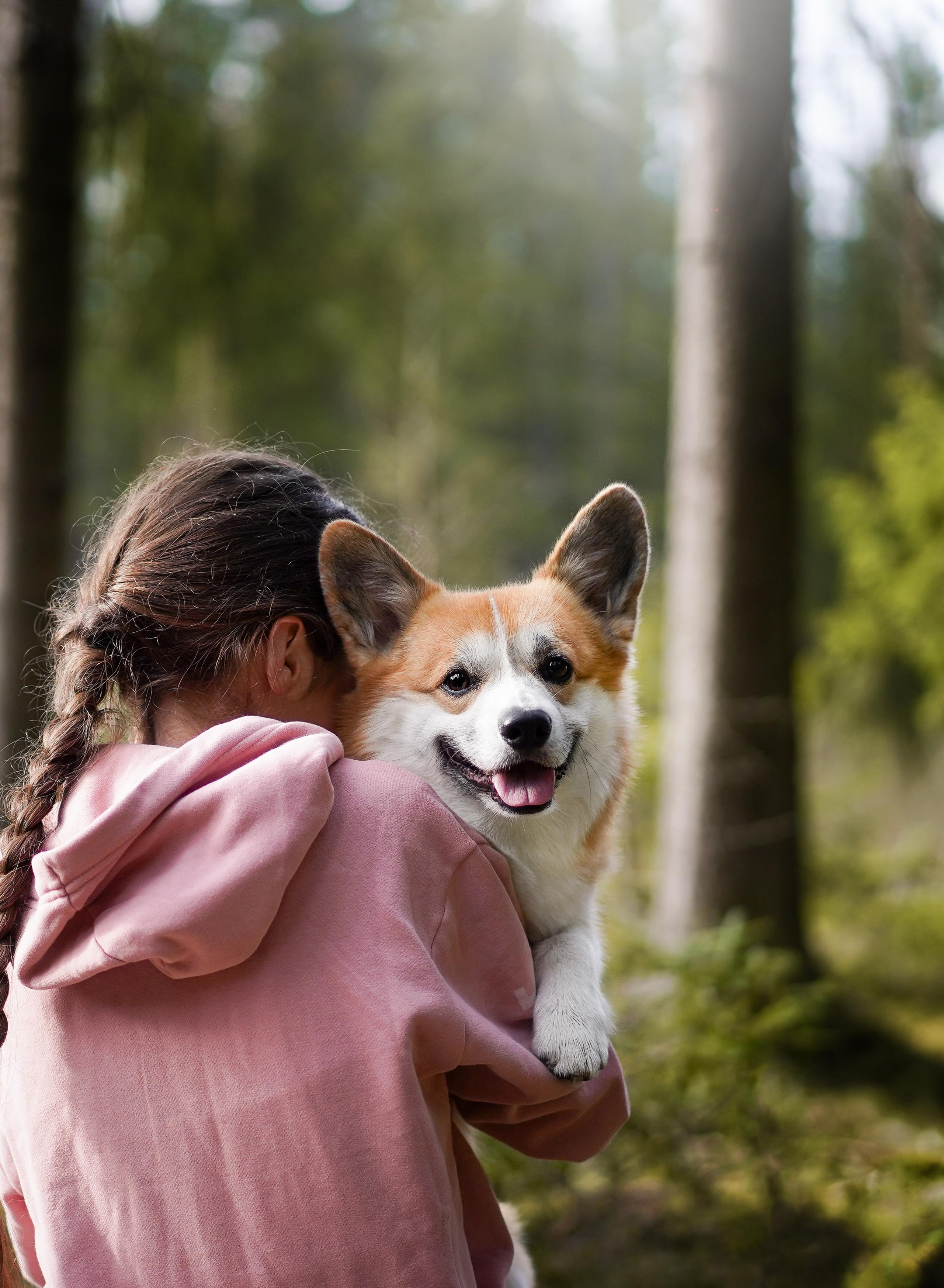 Катя и Рокки. Фотограф-анималист в Санкт-Петербурге Яна Мартынова