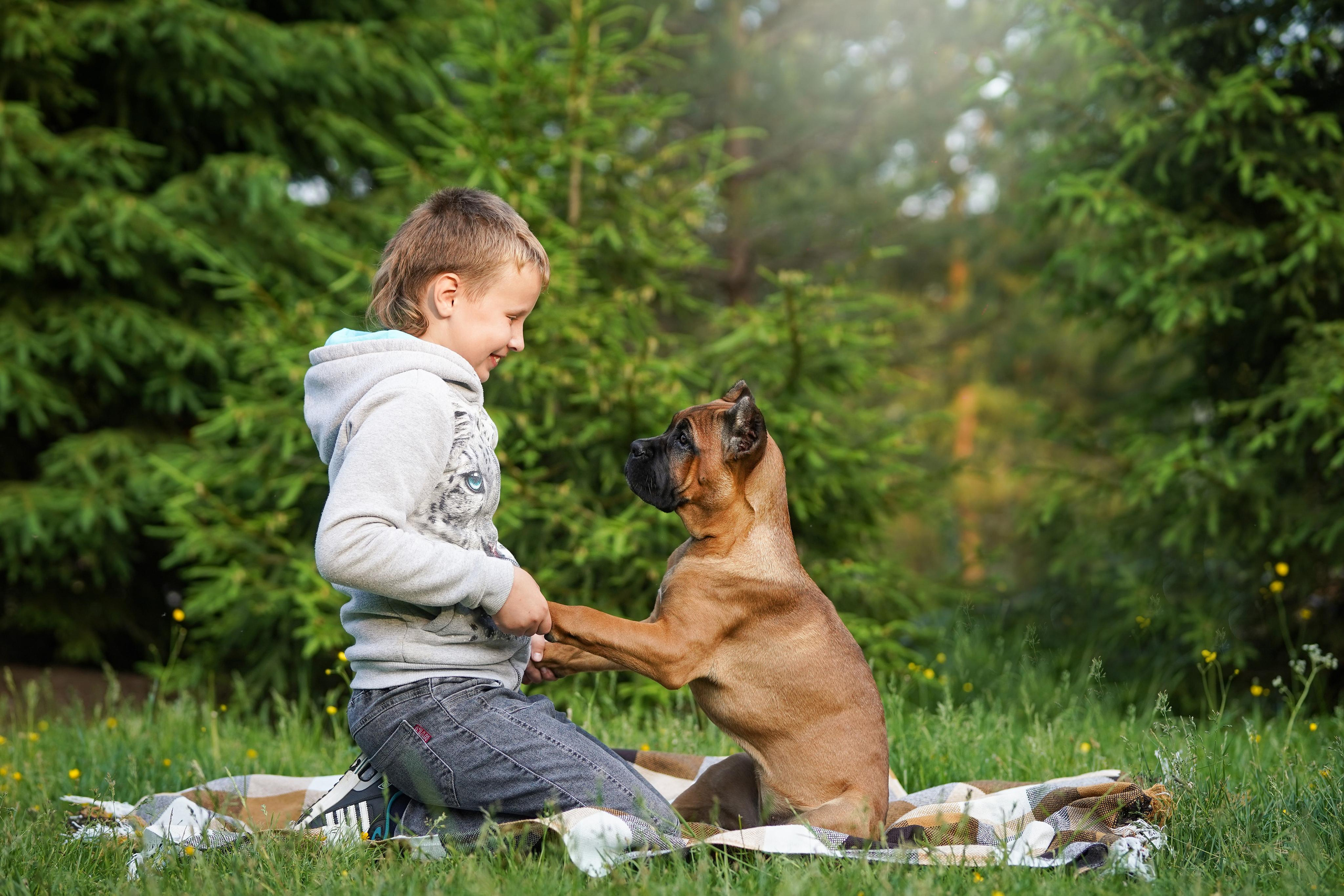 Злата, Луна, Сима и ребята. Фотограф-анималист в Санкт-Петербурге Яна Мартынова