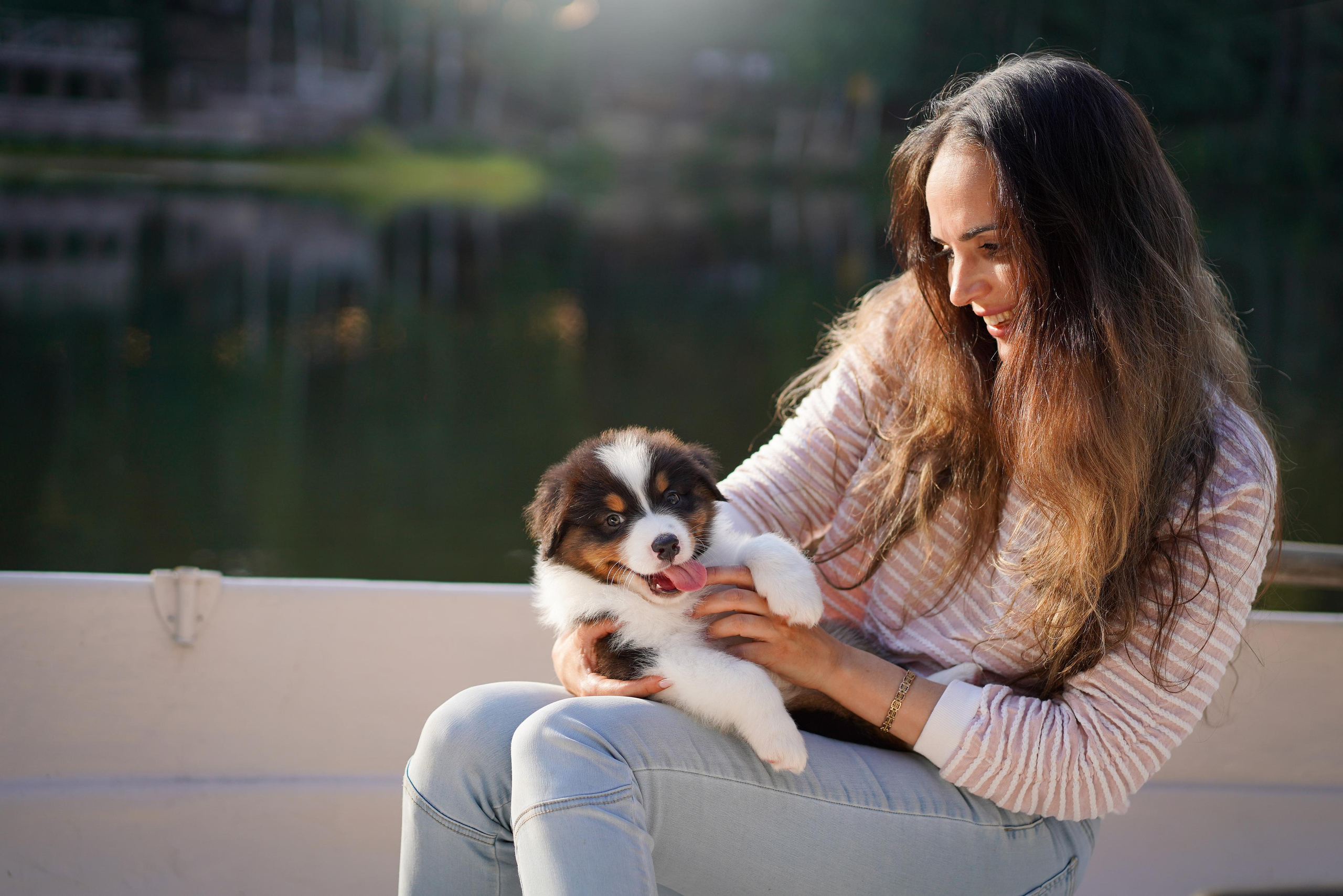 Щенки австралийской овчарки. Фотограф-анималист в Санкт-Петербурге Яна Мартынова