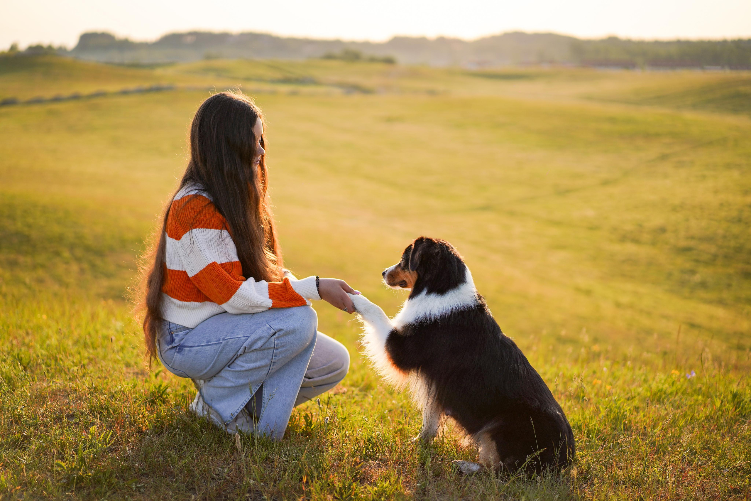 Кристина и Айла. Фотограф-анималист в Санкт-Петербурге Яна Мартынова