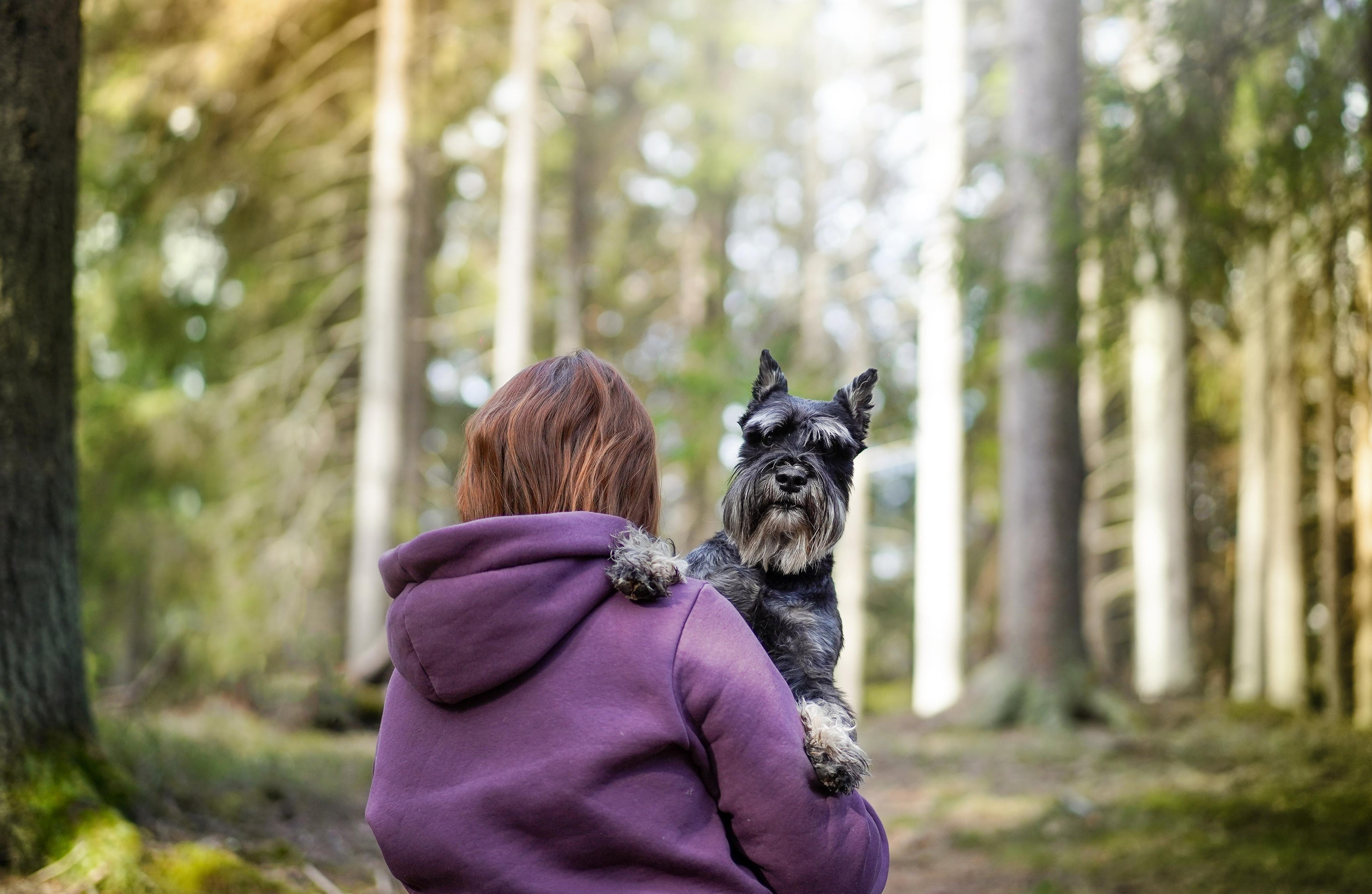Оля и шнауцеры. Фотограф-анималист в Санкт-Петербурге Яна Мартынова