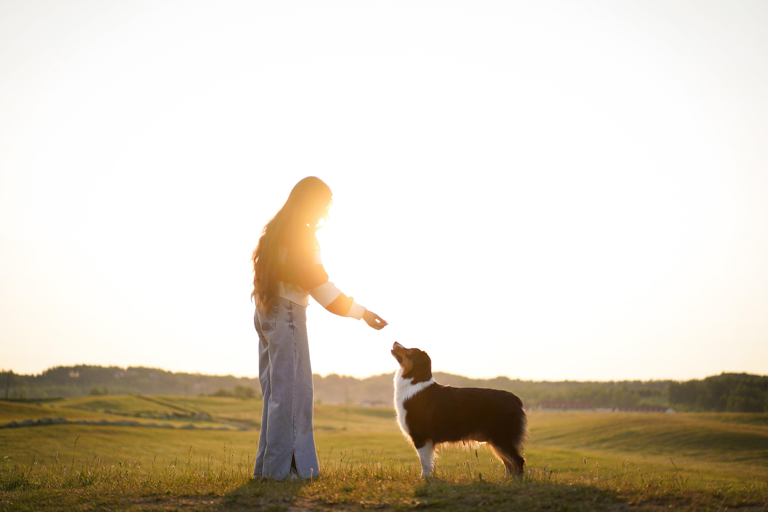 Кристина и Айла. Фотограф-анималист в Санкт-Петербурге Яна Мартынова
