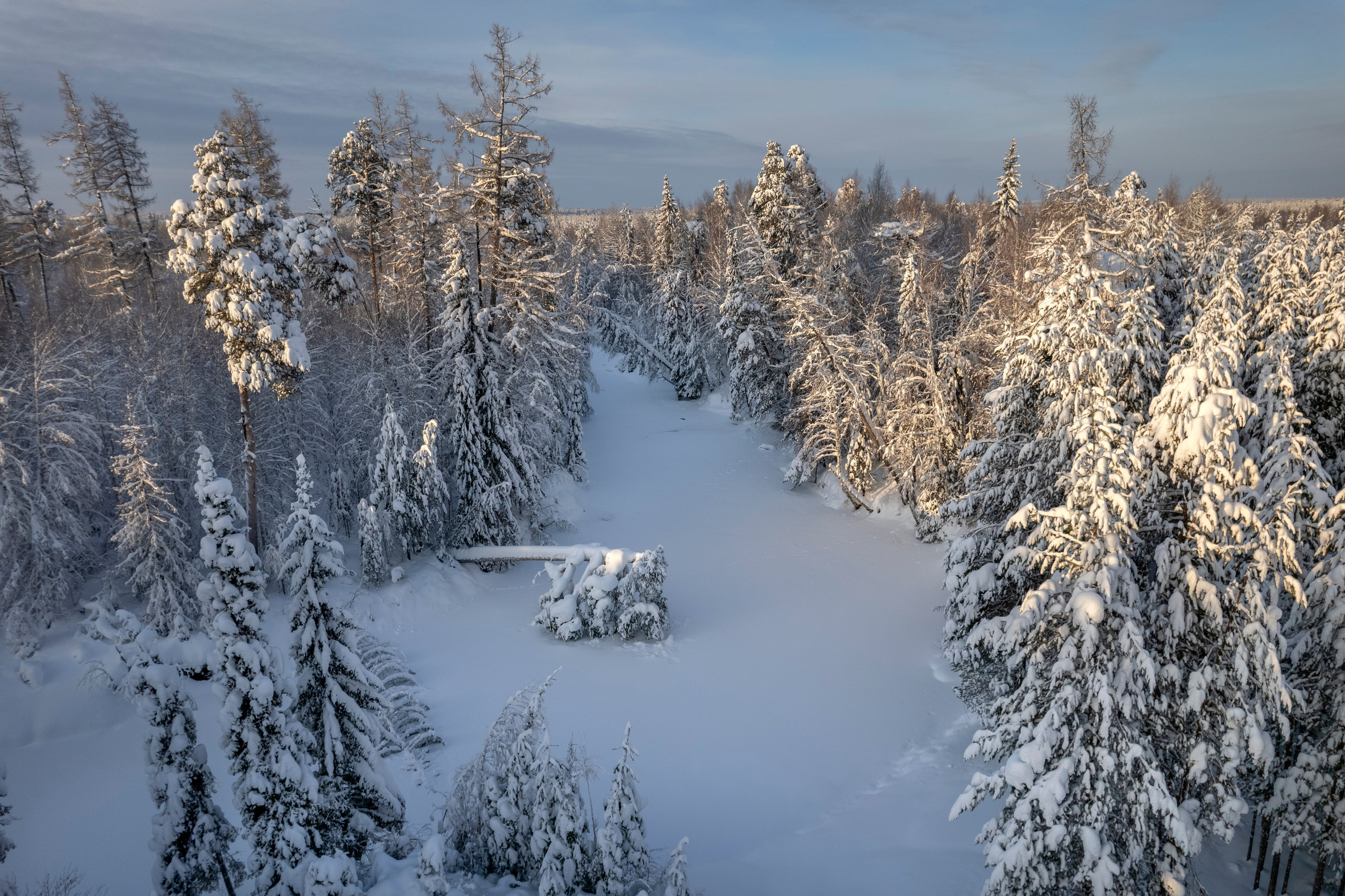 ПРИРОДА С ДРОНА. Фотограф Татьяна Борисова