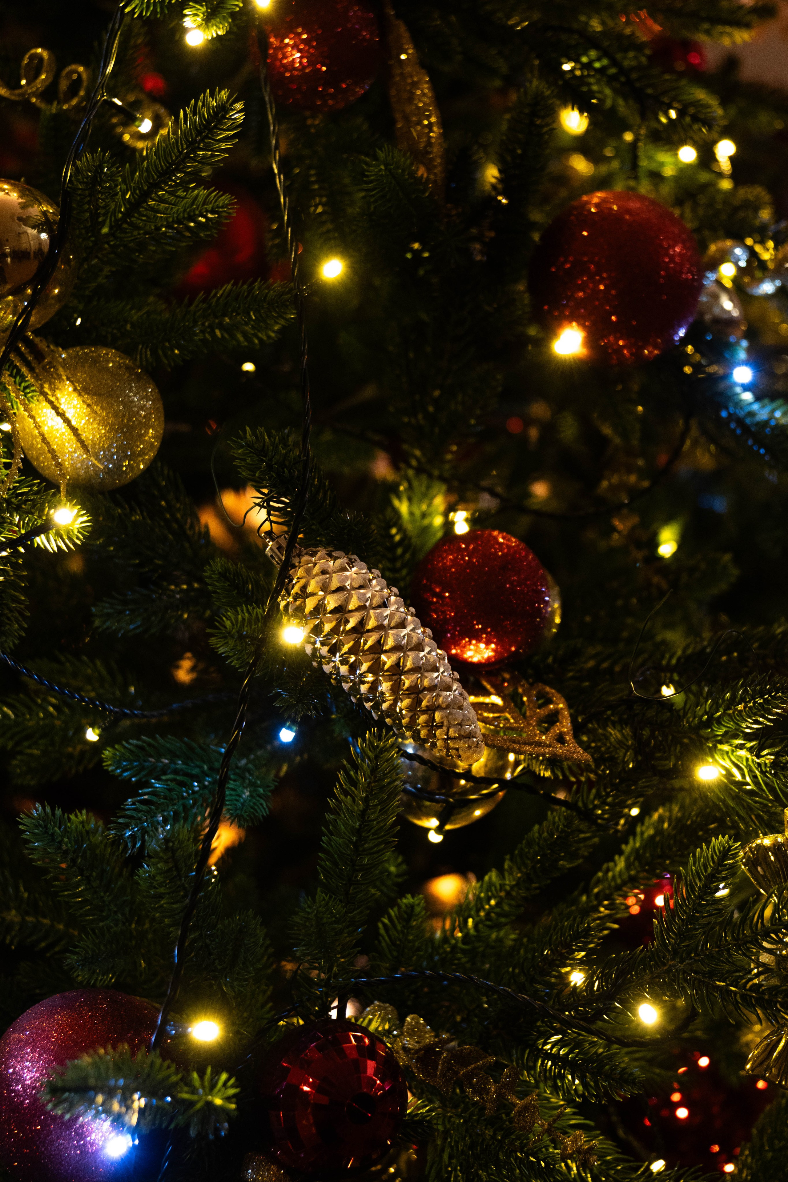 Новогодний утренник Алроса. Фото и видео съёмка в Москве и МО Александр Чапала и Трояк Алеся