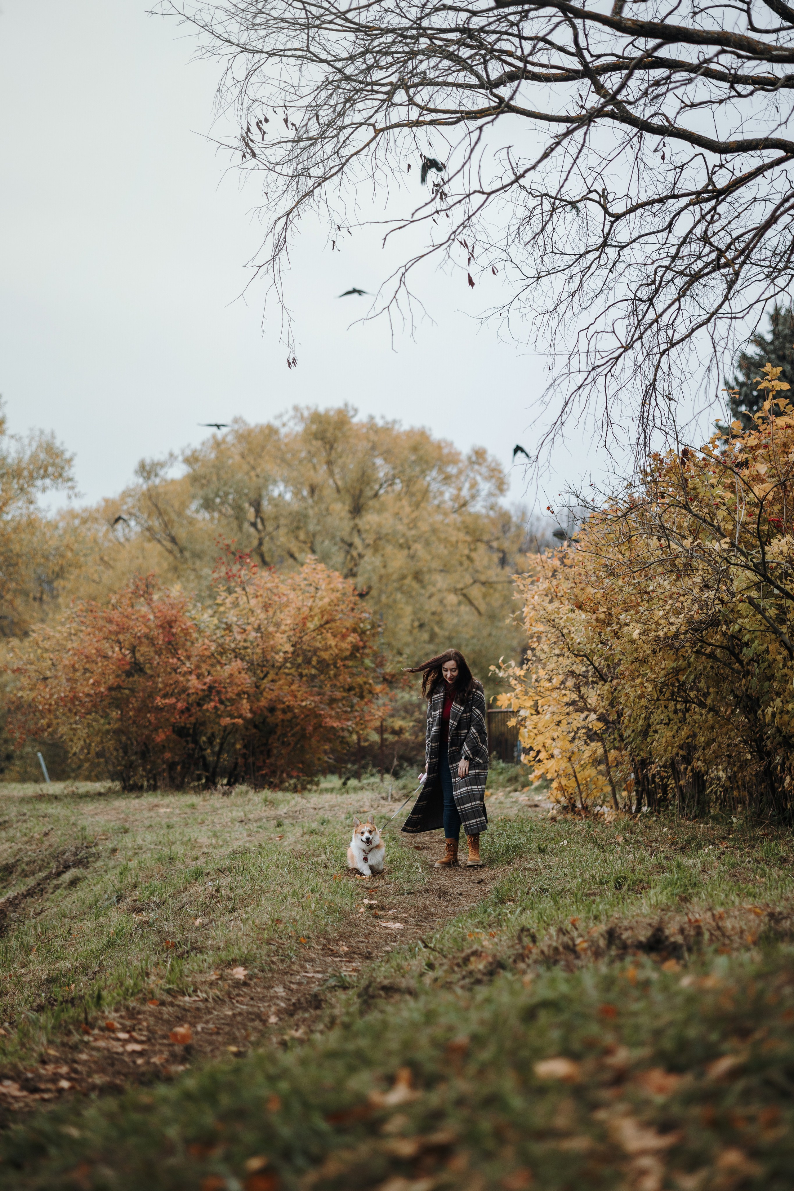 Юля и Терри. Фотограф — Анималист | Санкт-Петербург