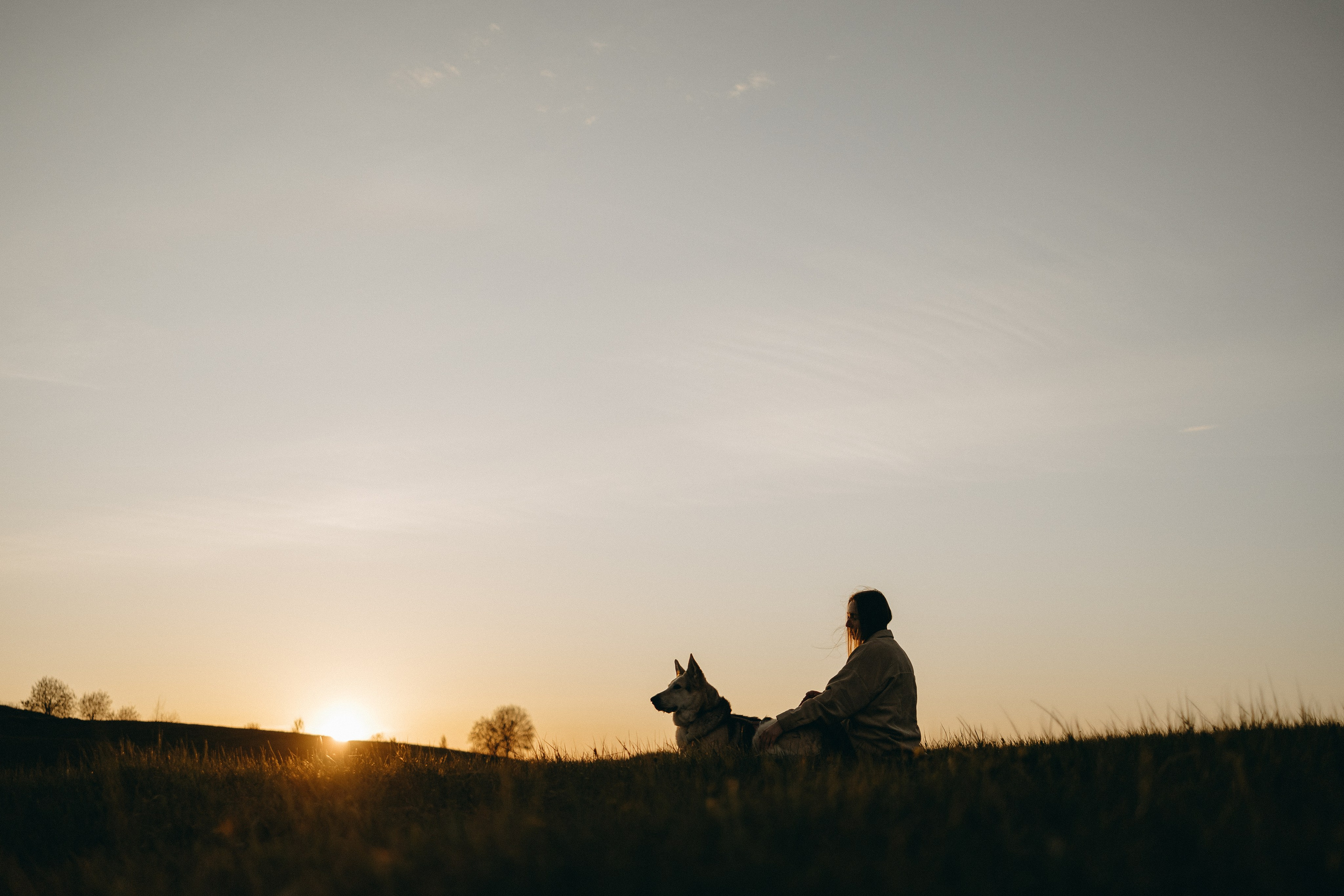 Саша и Зельда. Фотограф — Анималист | Санкт-Петербург