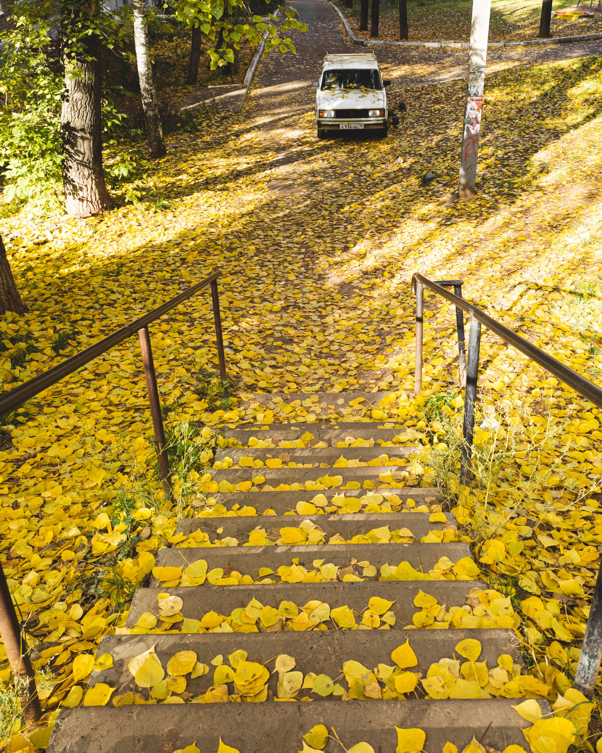 Эстетика ебеней. Олег Романов. Мастер фото по спорту