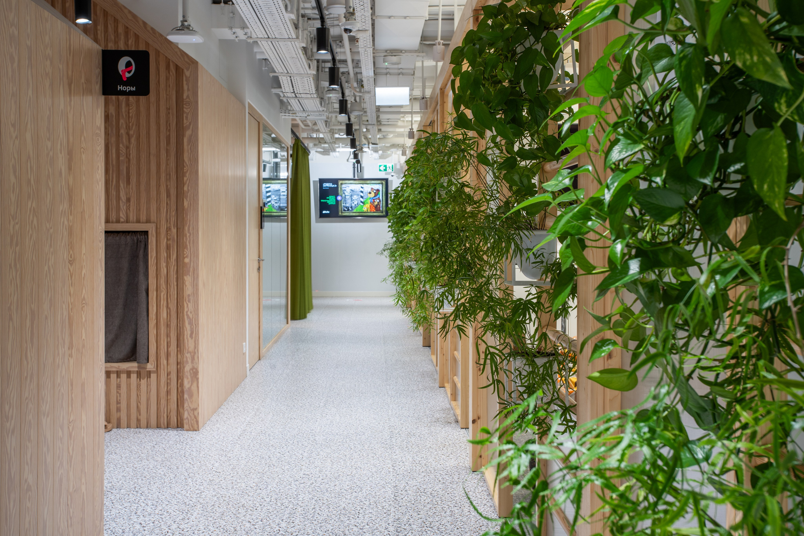 Авито. Центральный офис на Лесной. Интерьерный фотограф Александра Солдатова