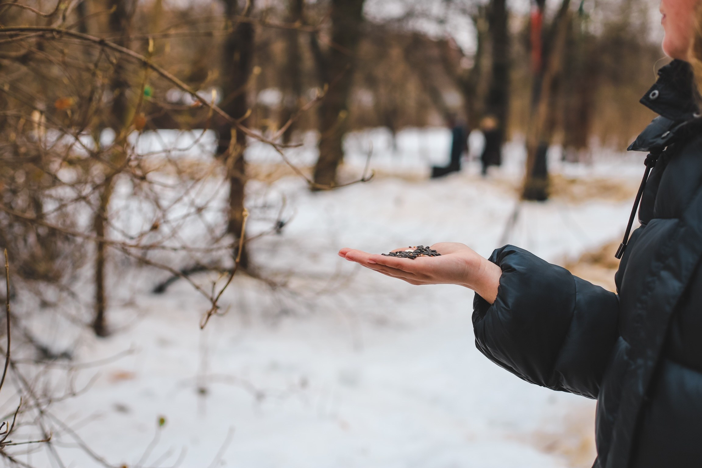 Московская птичка. Фотограф беременности и семейных историй Эльвира Акарибе в городе Краснодар!