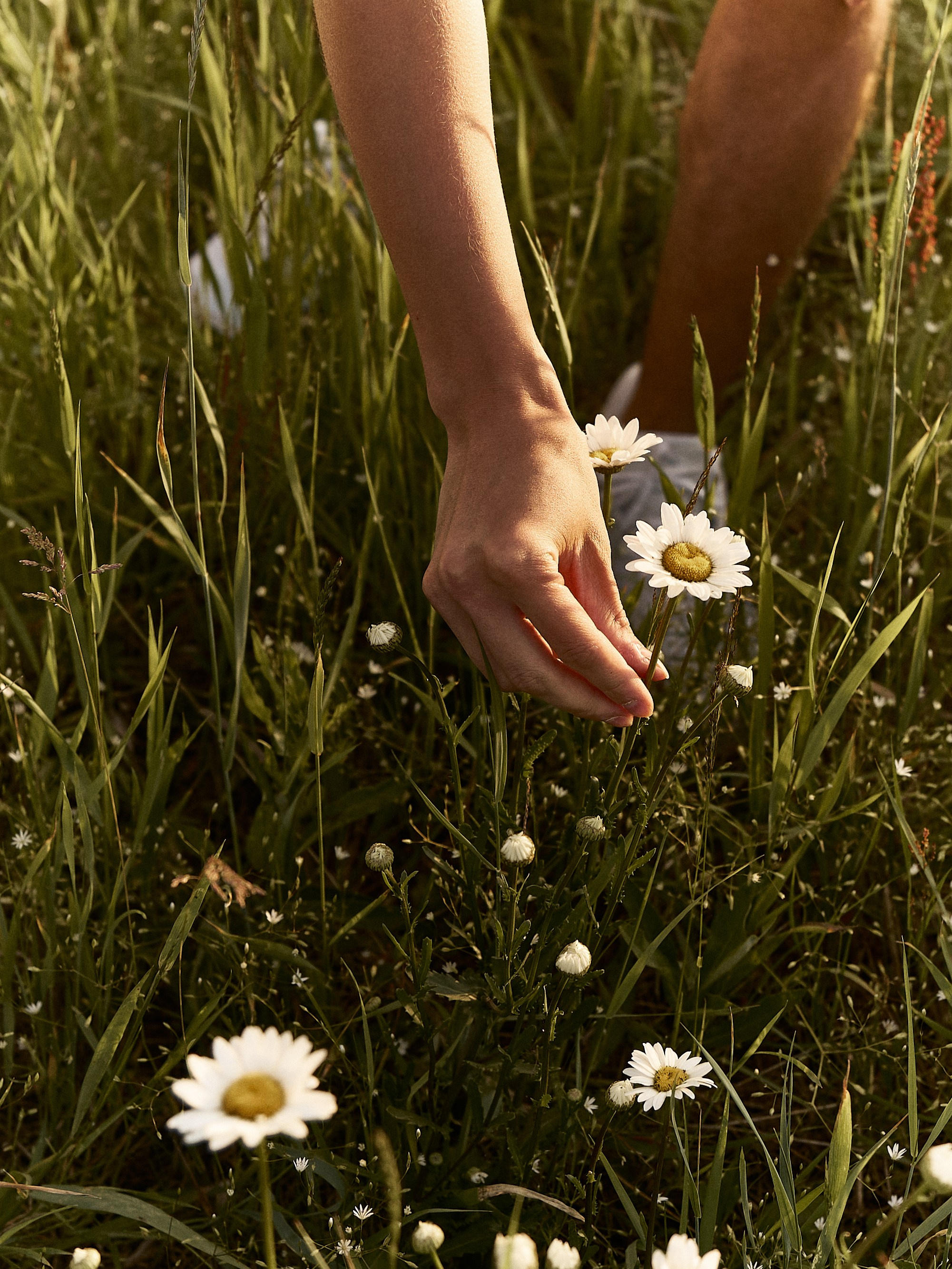 Вова&Крис. Главная