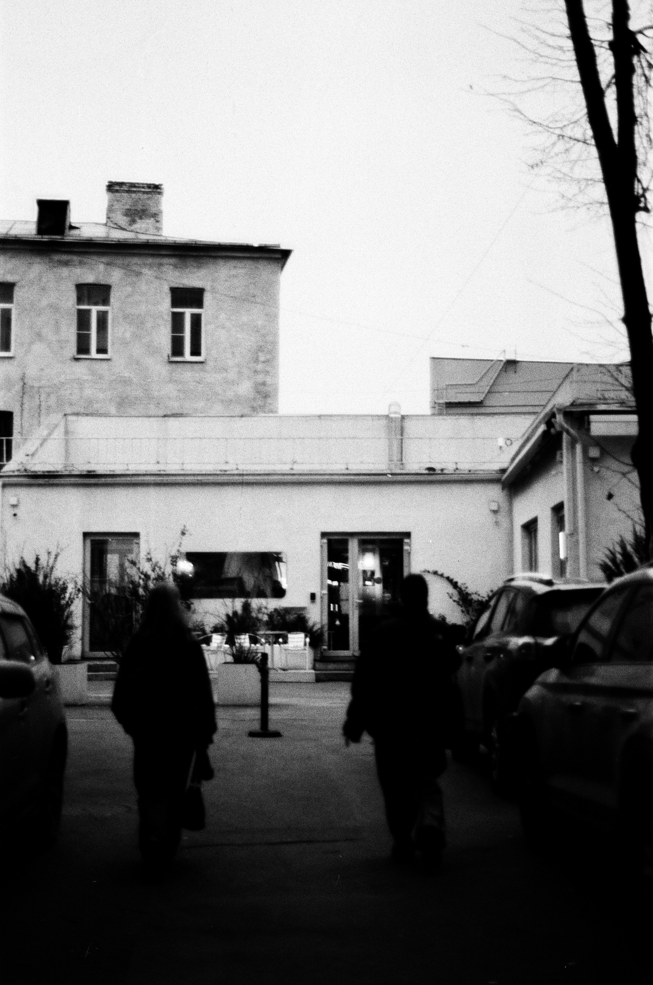 22/04/2026. Влада Касабова. Фотограф