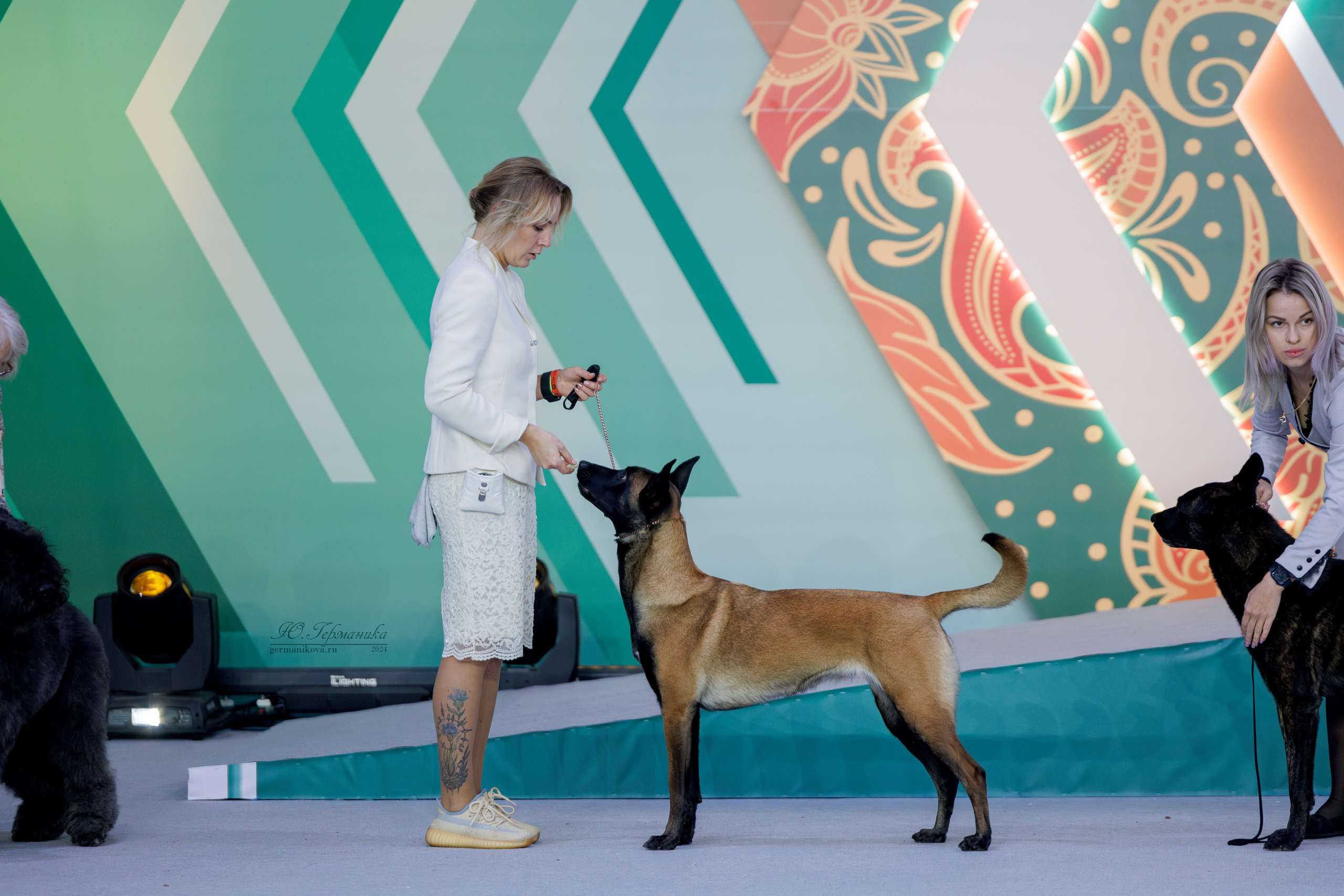 Евразия 16-17.11.2024. Фотограф-анималист Юлия Германика