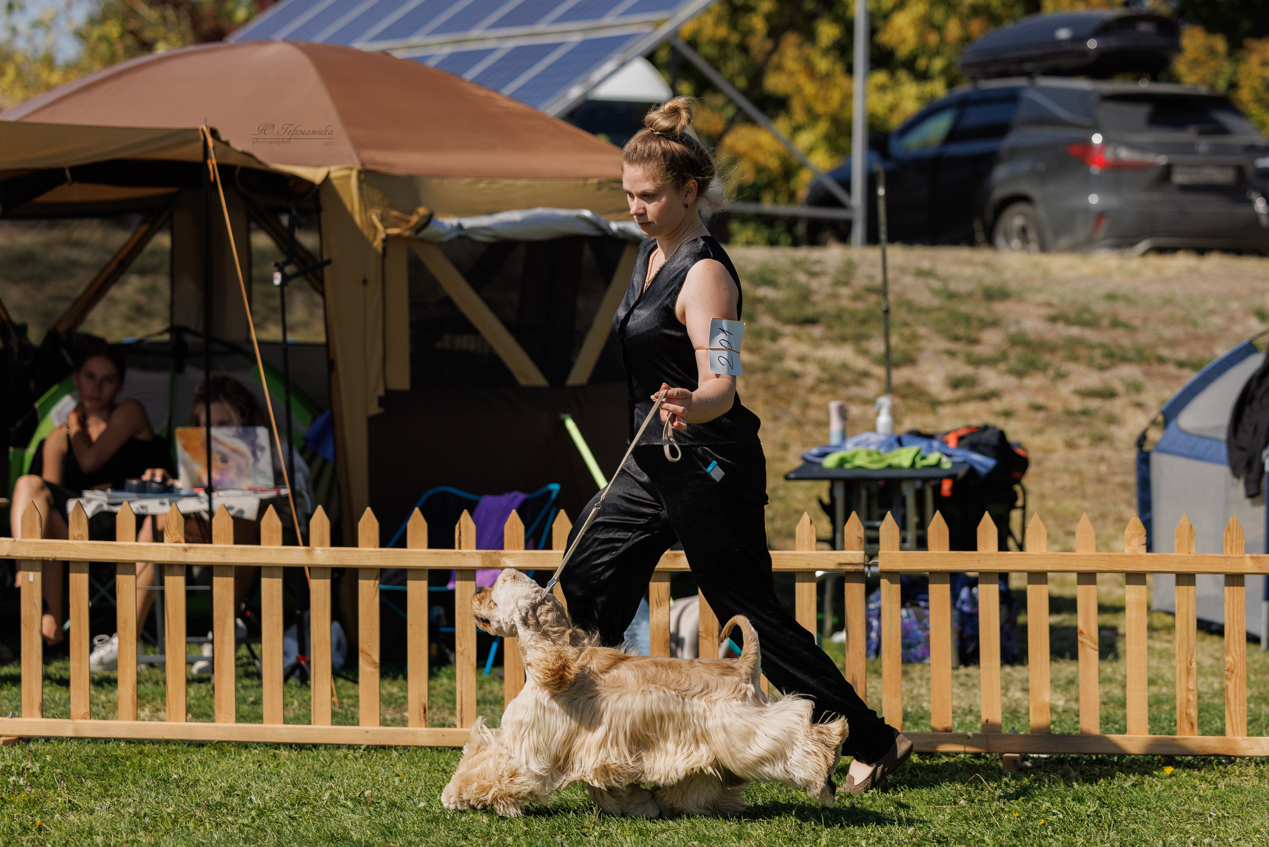 Ереван 14-16.10.2025. Фотограф-анималист Юлия Германика