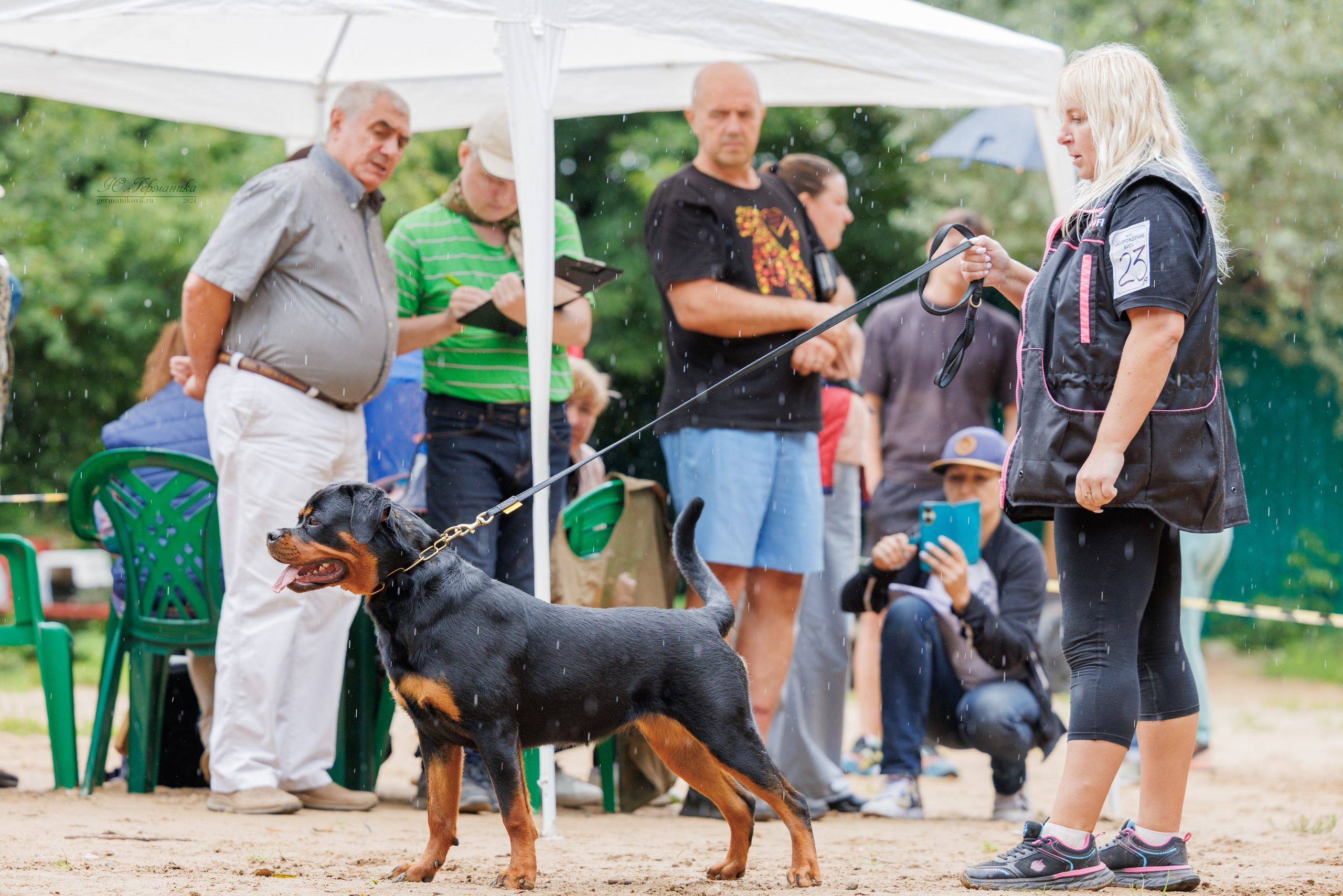 Рязань-Ховрино 10-11.08.2024 3хмоно ротвейлеров. Фотограф-анималист Юлия Германика