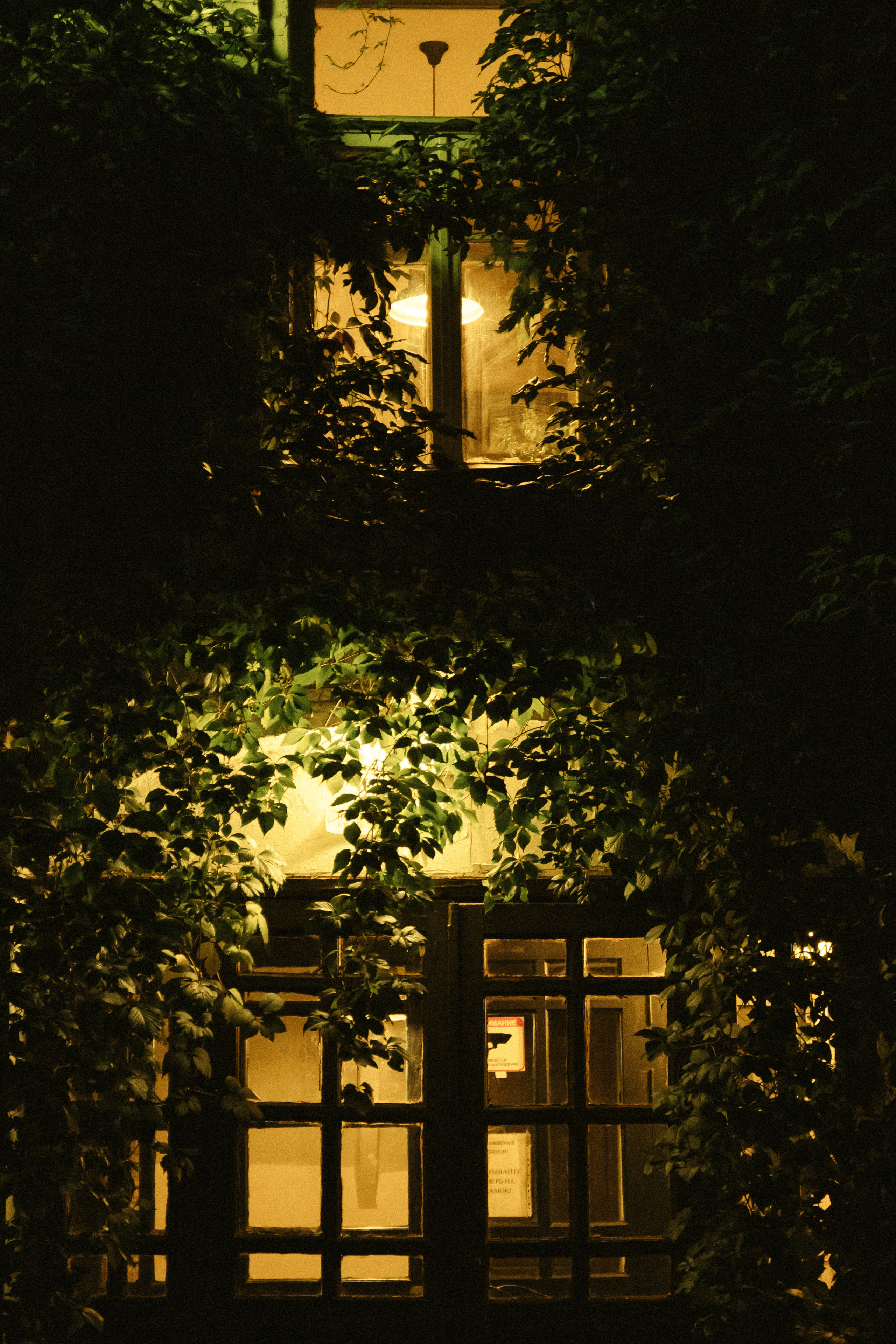 Открытки. Портретный фотограф Москва и Московская область