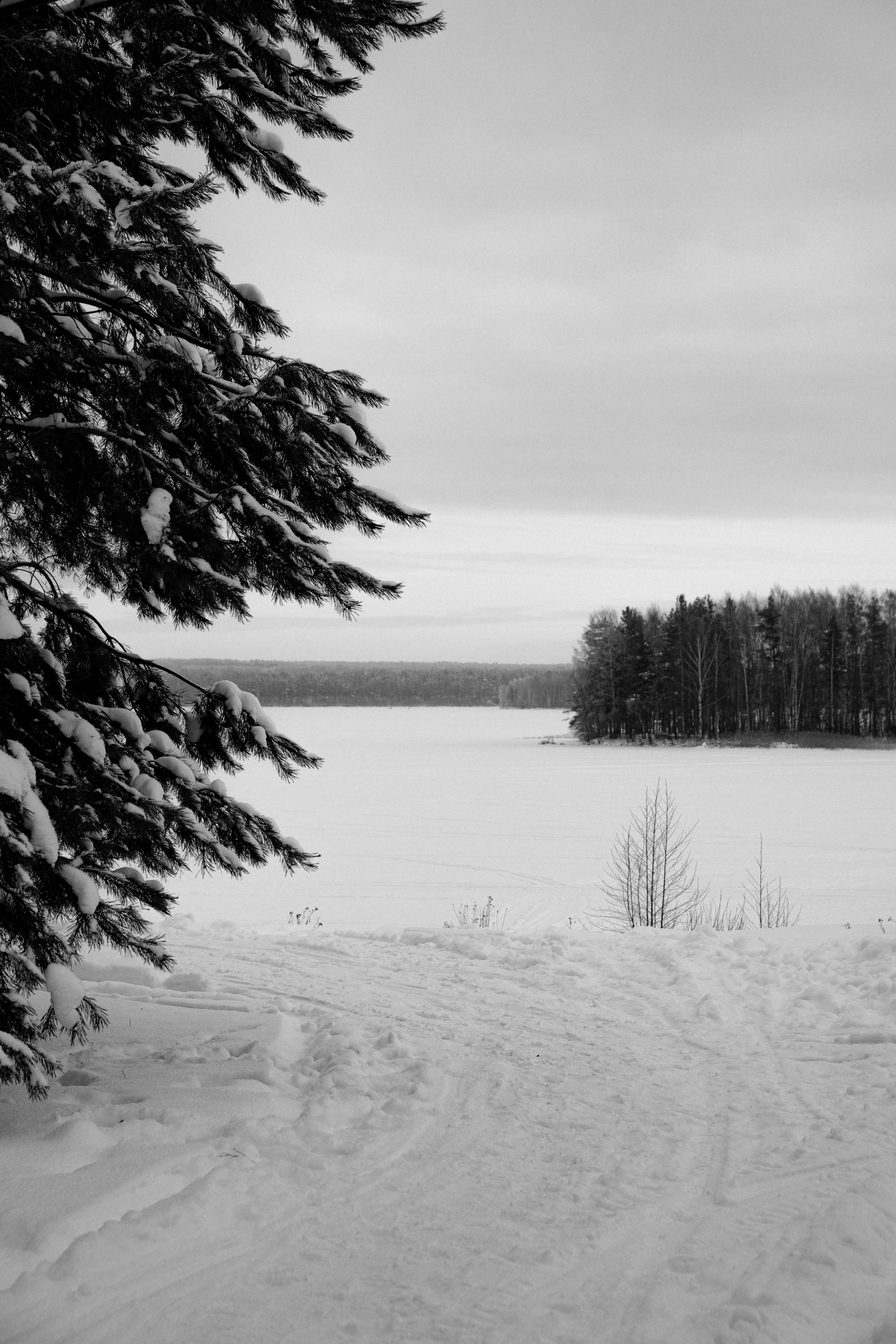 Открытки. Портретный фотограф Москва и Московская область