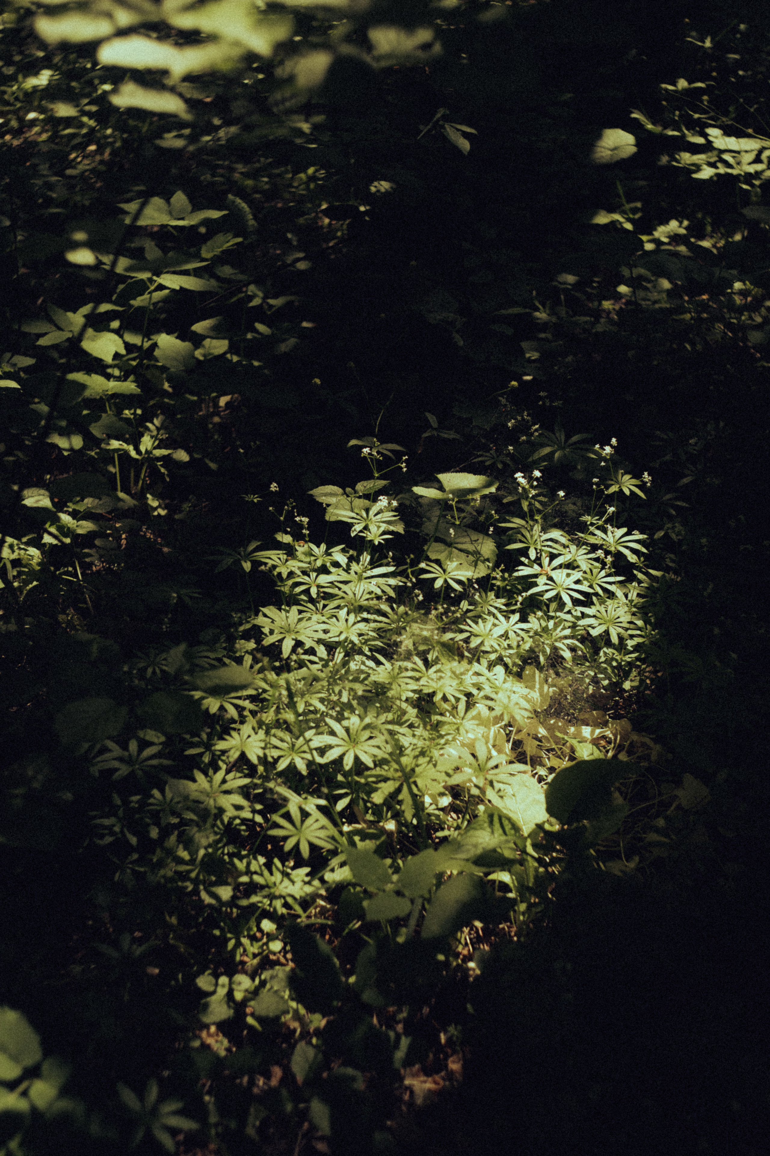 Открытки. Портретный фотограф Москва и Московская область