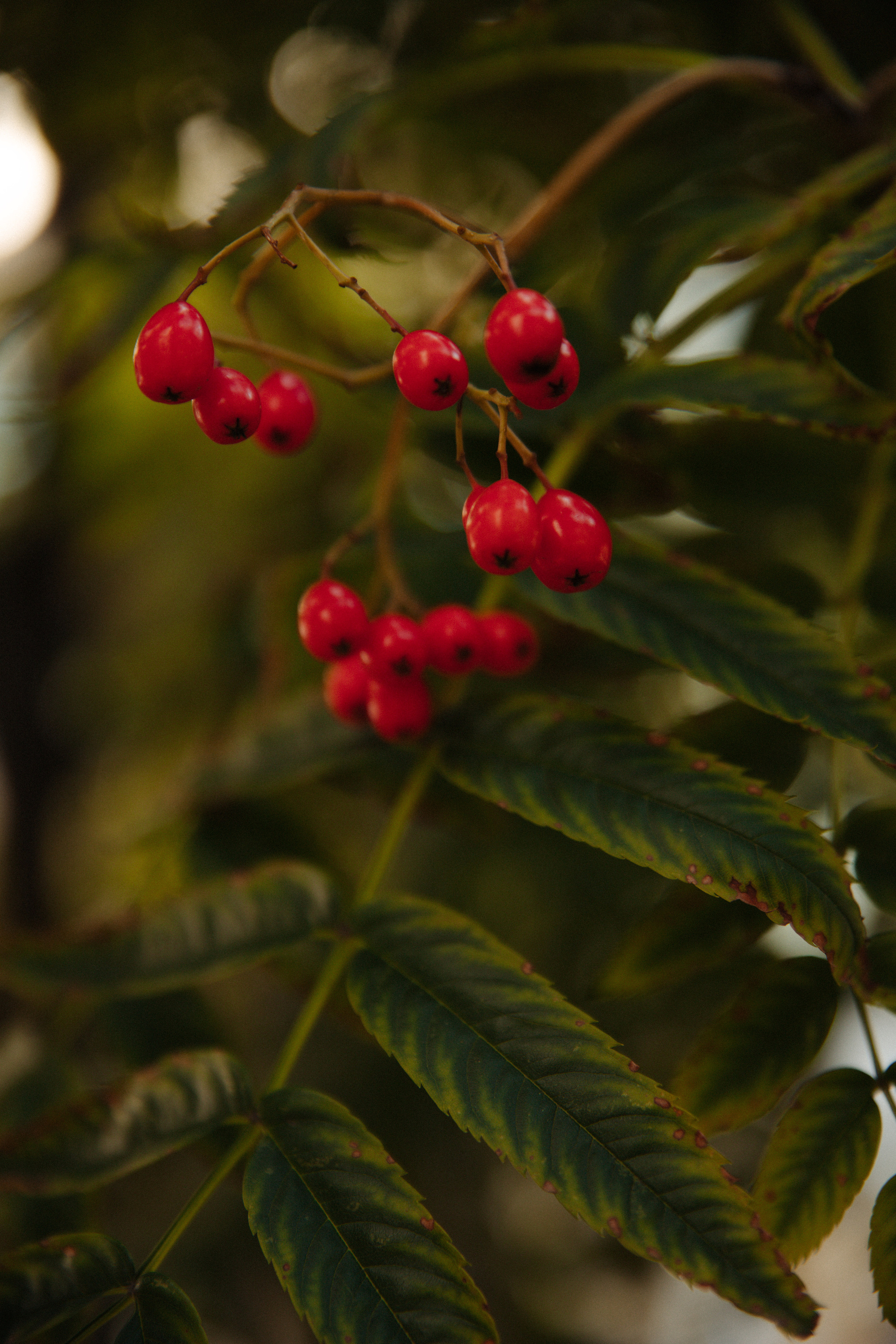 Открытки. Портретный фотограф Москва и Московская область