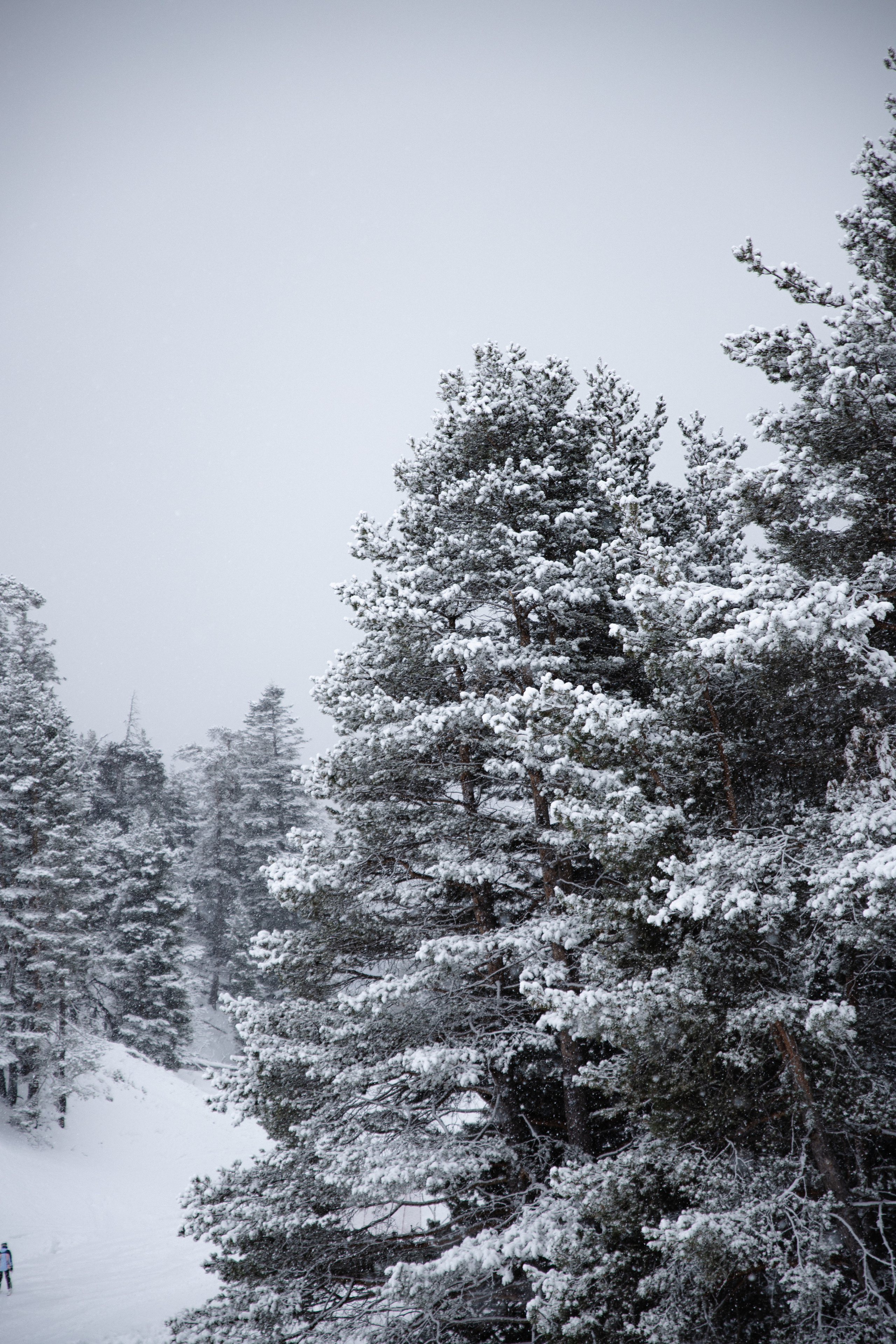 Открытки. Портретный фотограф Москва и Московская область