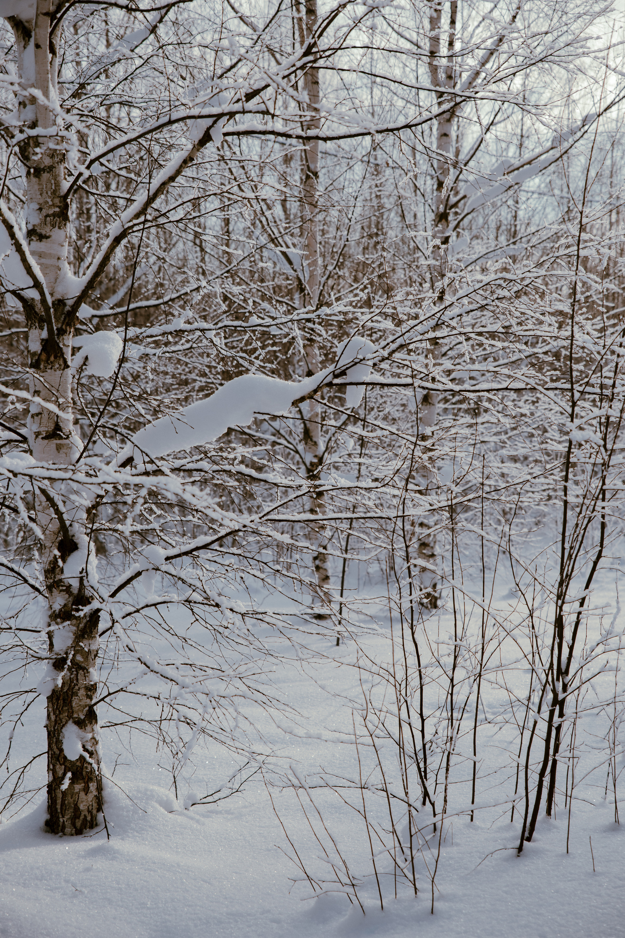 Открытки. Портретный фотограф Москва и Московская область