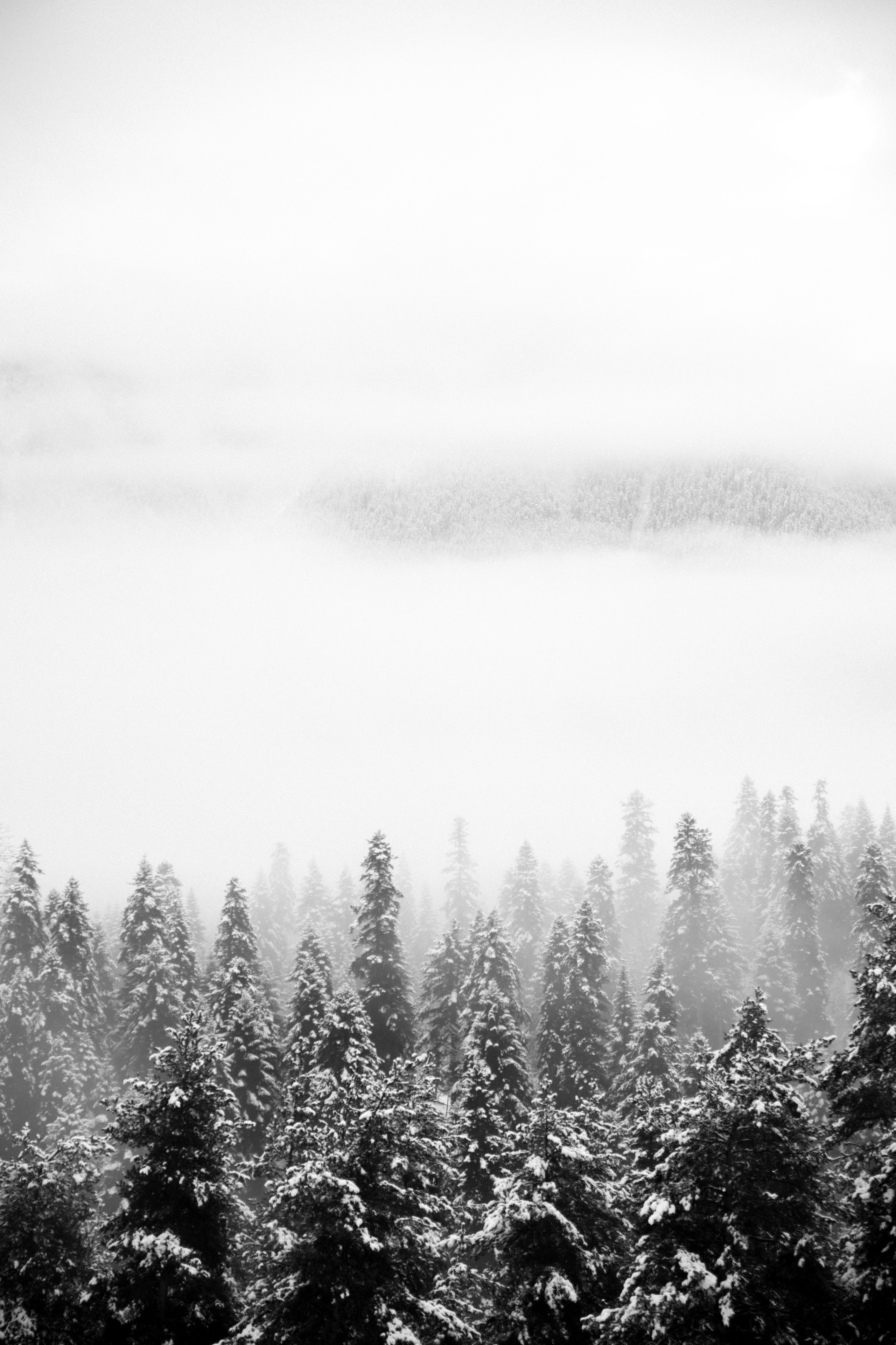Открытки. Портретный фотограф Москва и Московская область