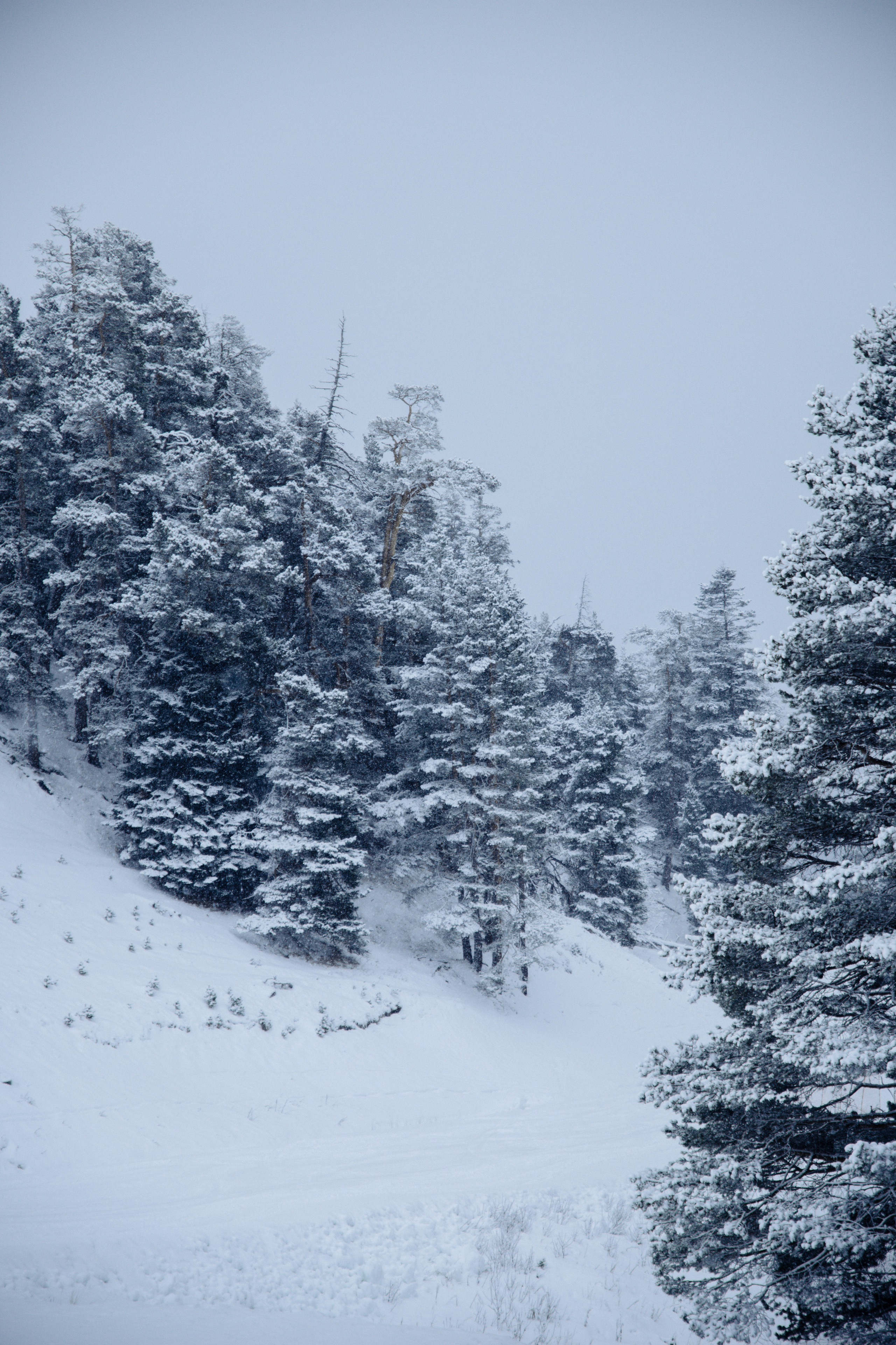 Открытки. Портретный фотограф Москва и Московская область