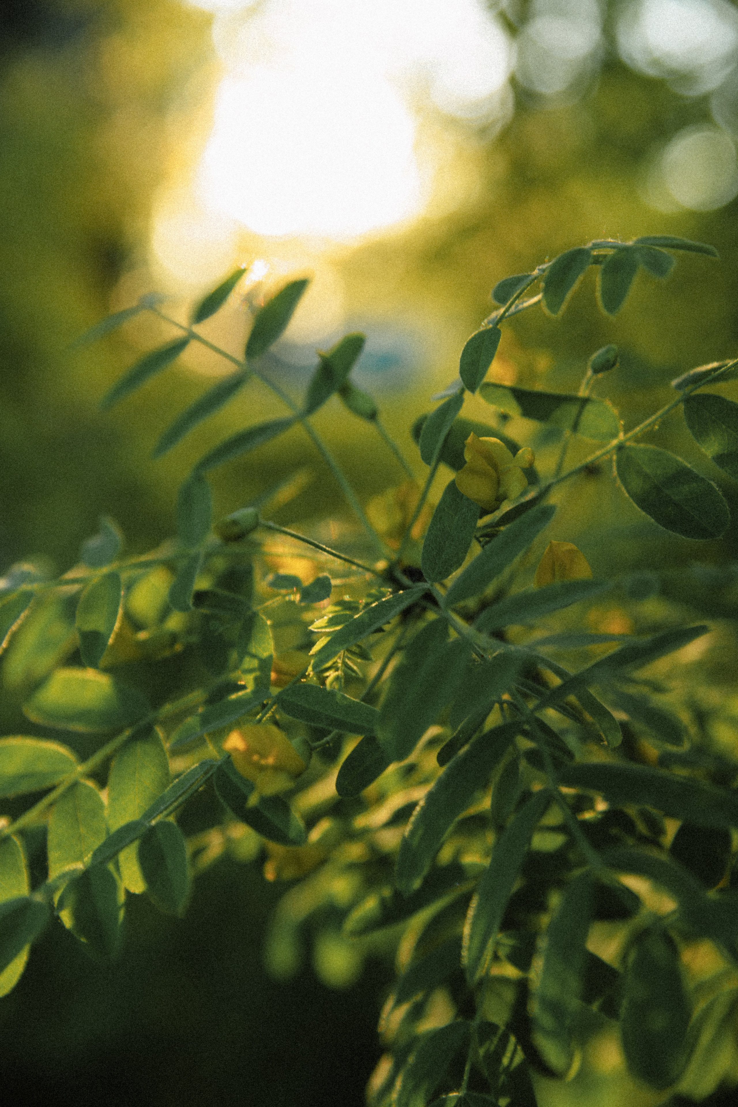 Открытки. Портретный фотограф Москва и Московская область